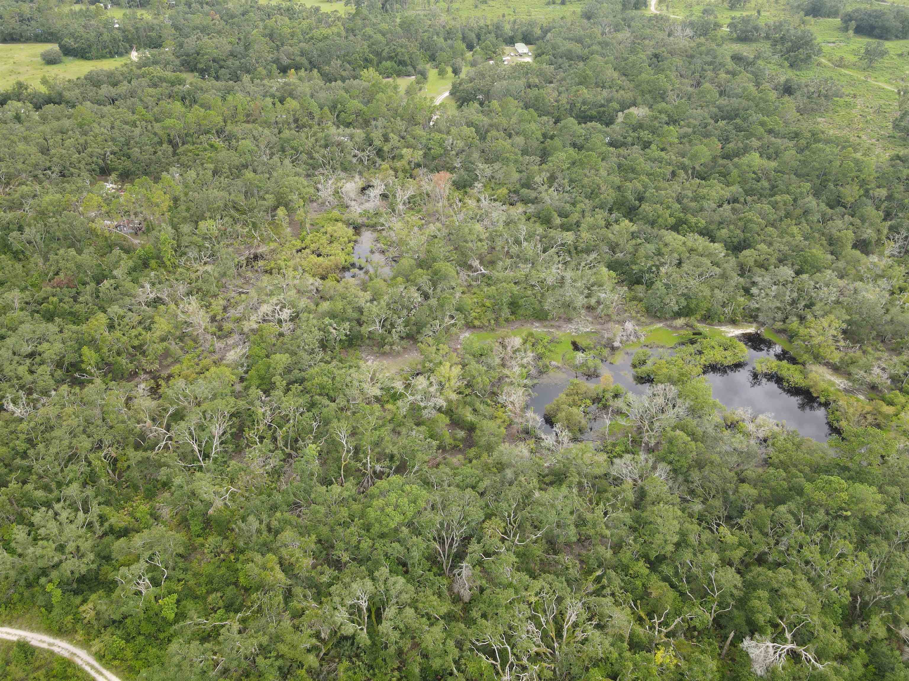 Vacant Kays Rd., Perry, Florida image 4