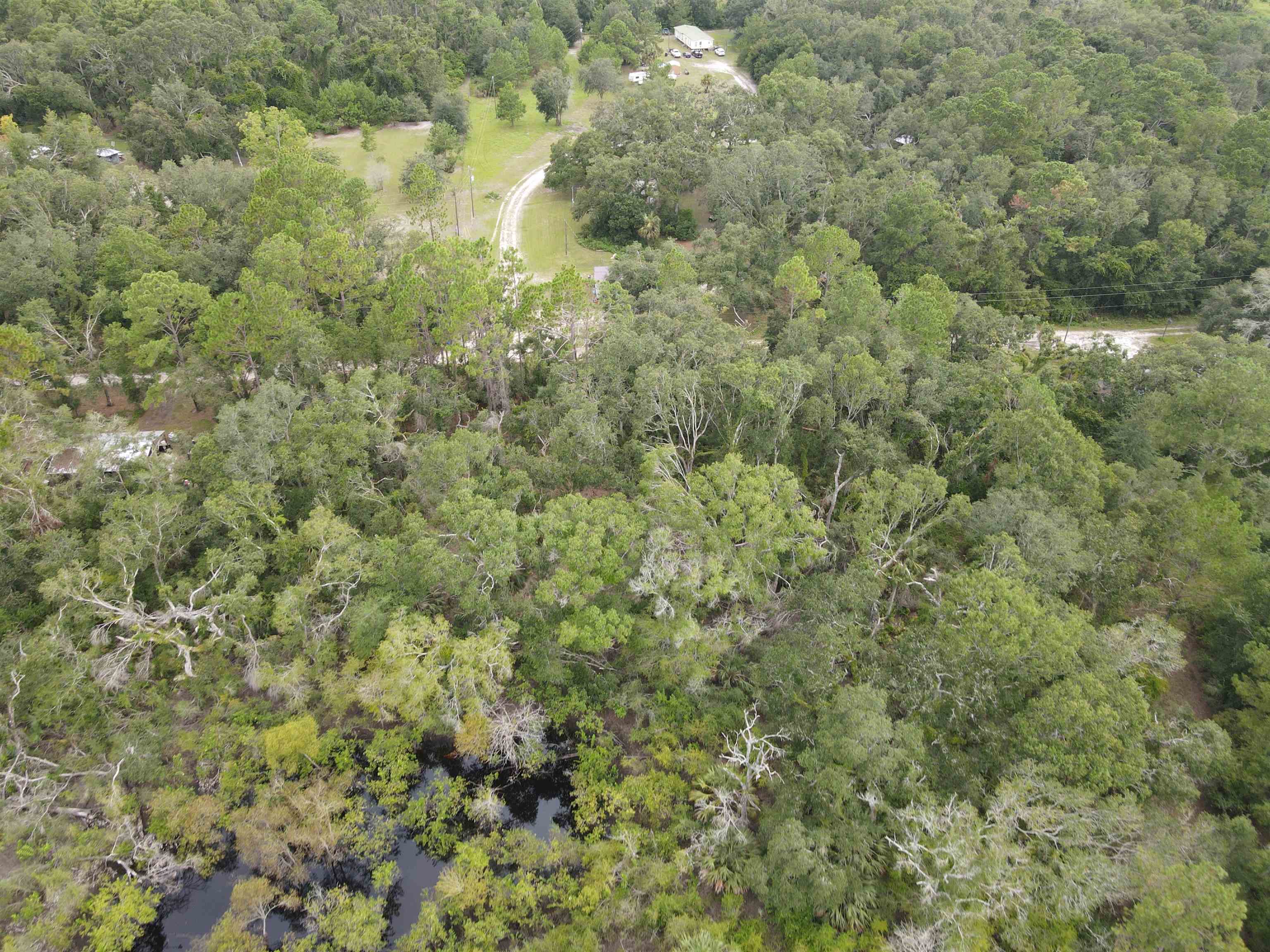 Vacant Kays Rd., Perry, Florida image 6