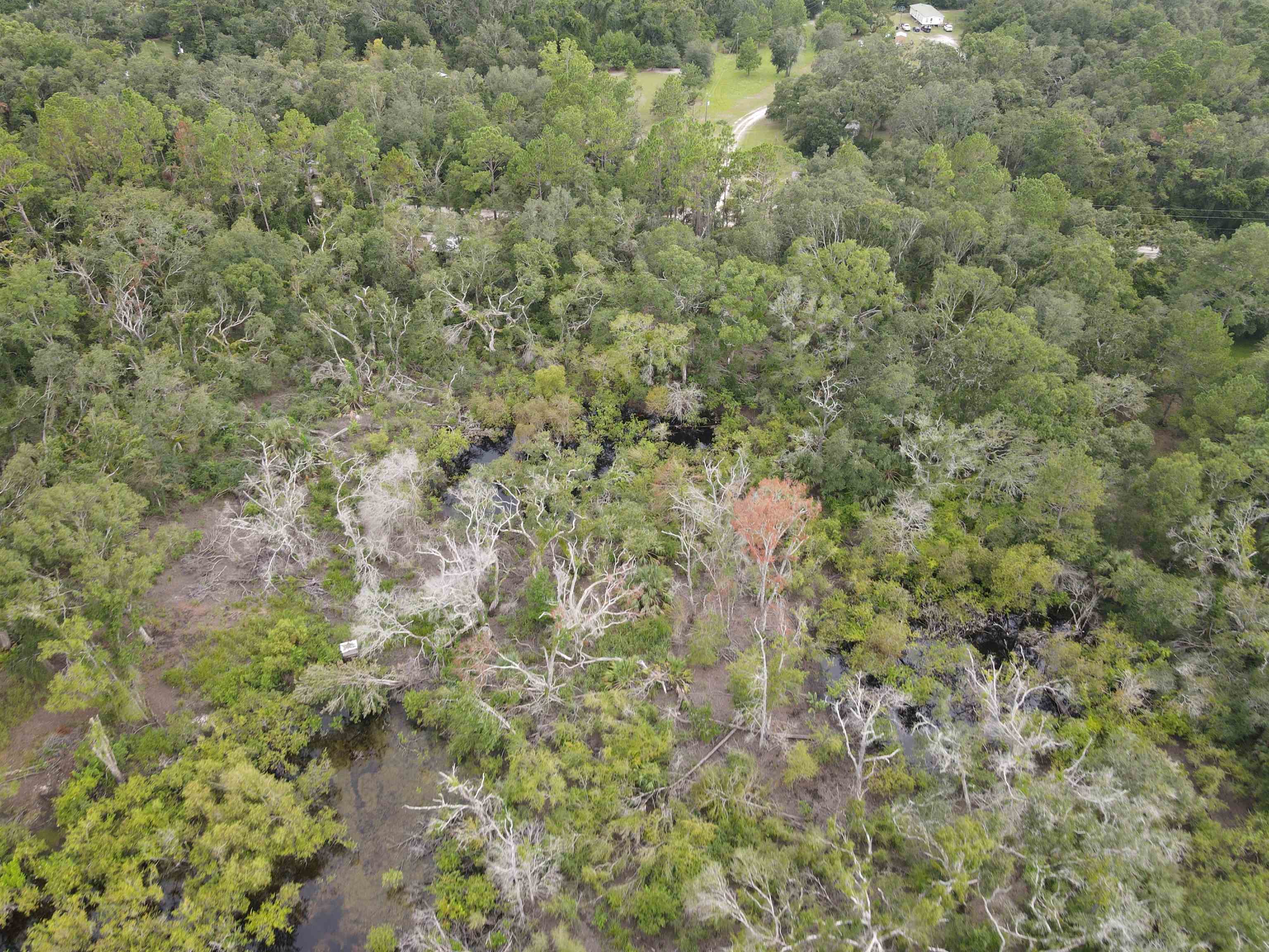 Vacant Kays Rd., Perry, Florida image 7