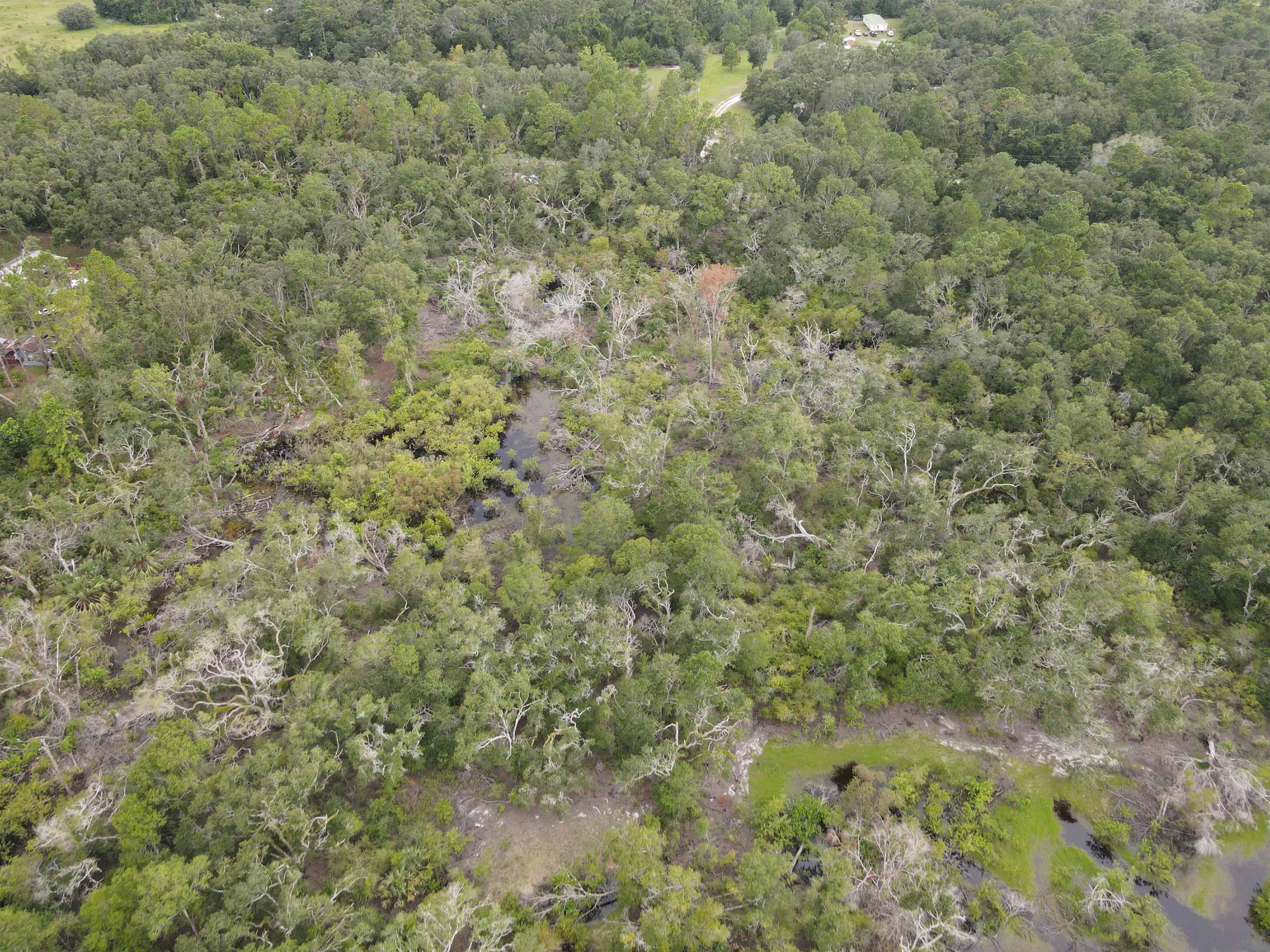 Vacant Kays Rd., Perry, Florida image 9