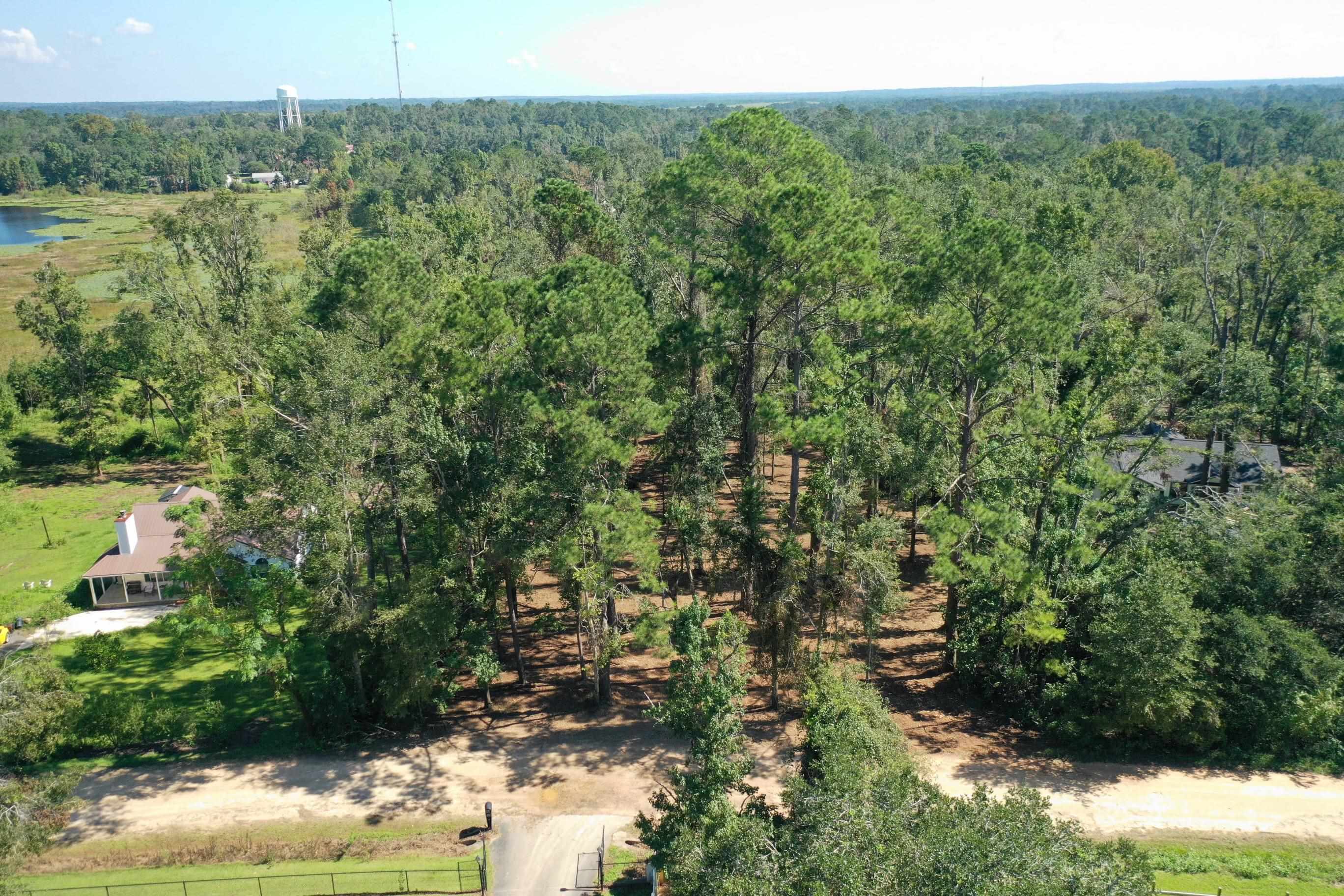 2725 Masterson Lane, Tallahassee, Florida image 8