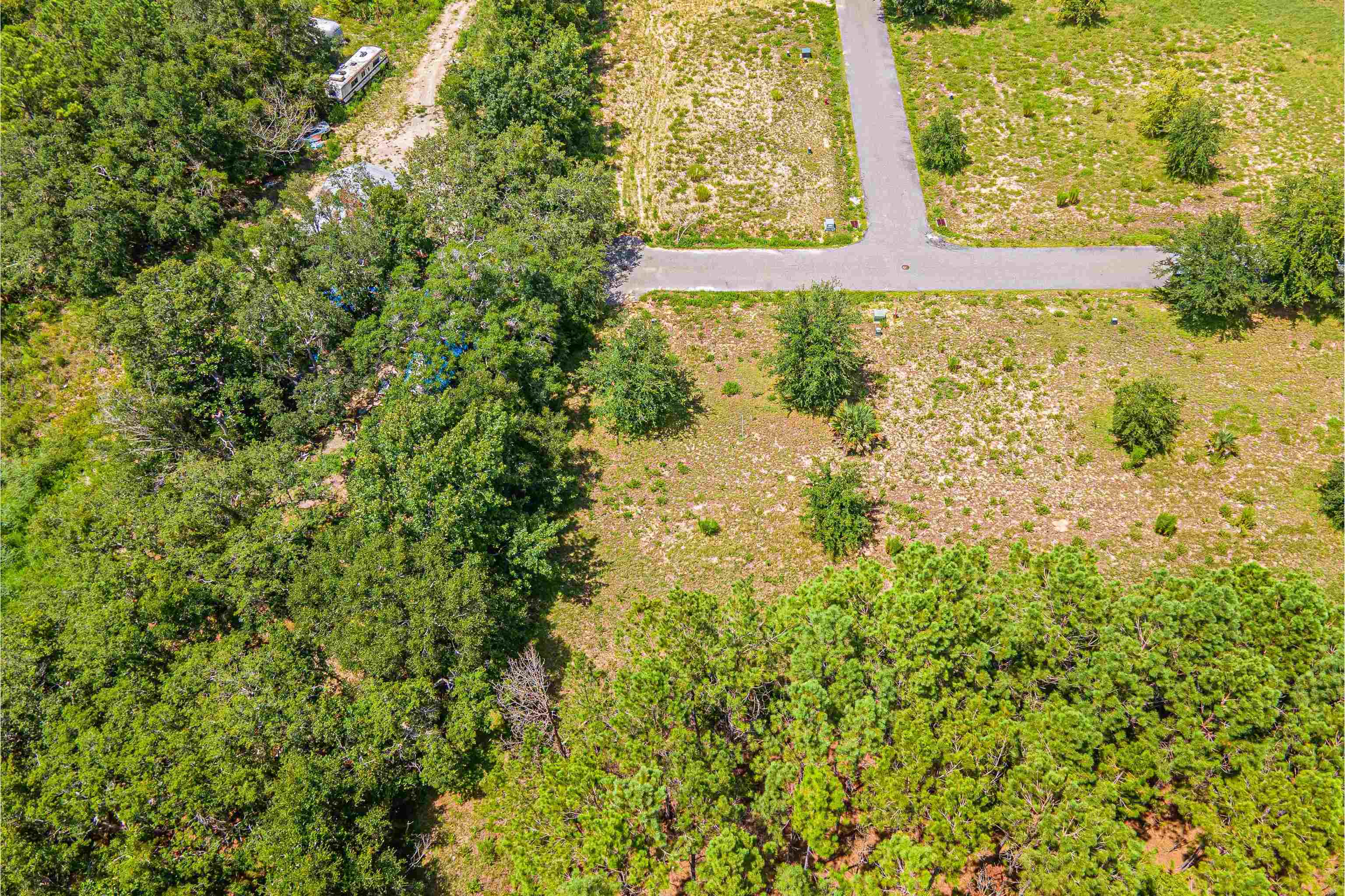 Lot 37 River Shores At Jena, STEINHATCHEE, Florida image 10