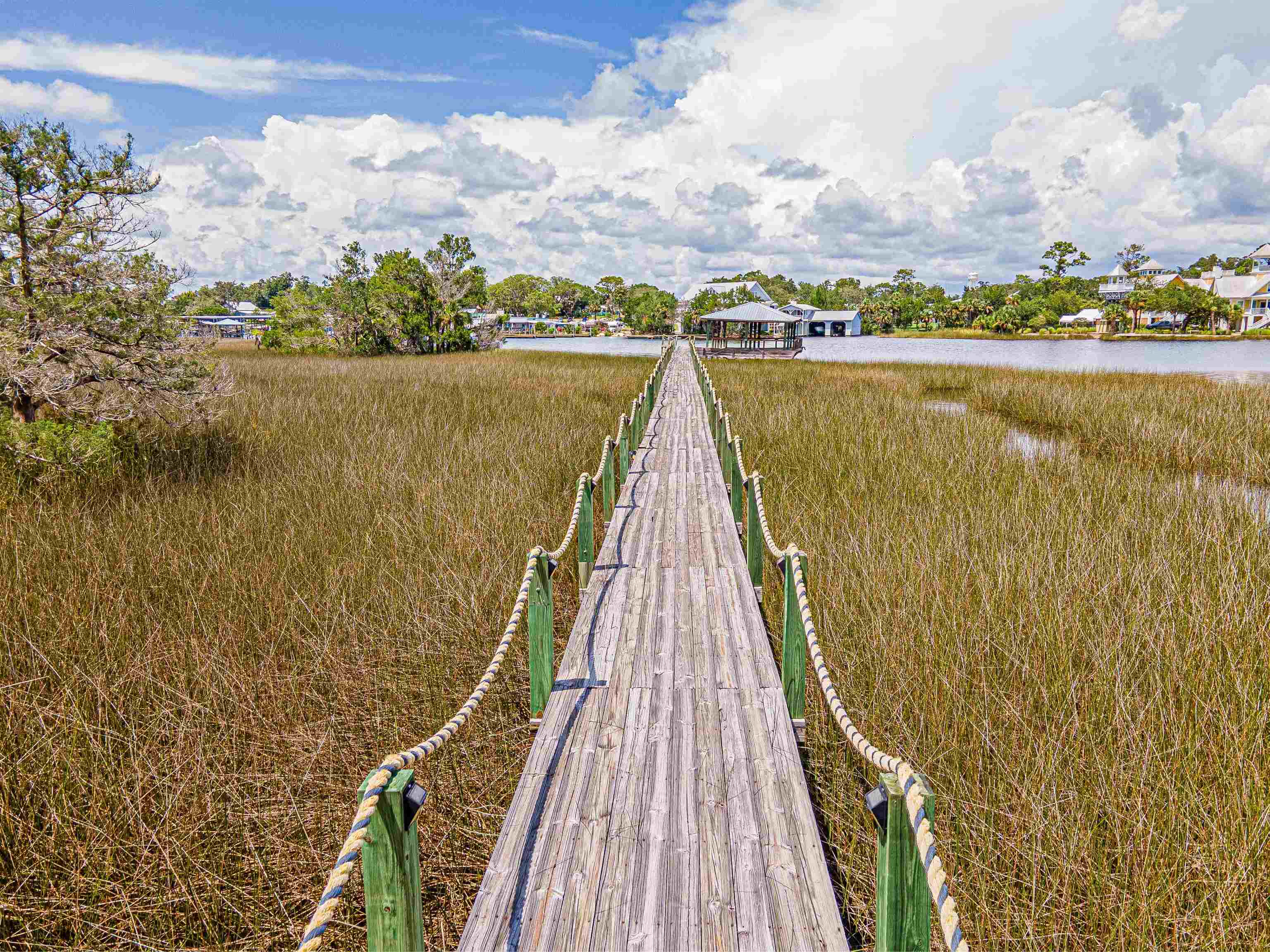 Lot 37 River Shores At Jena, STEINHATCHEE, Florida image 14