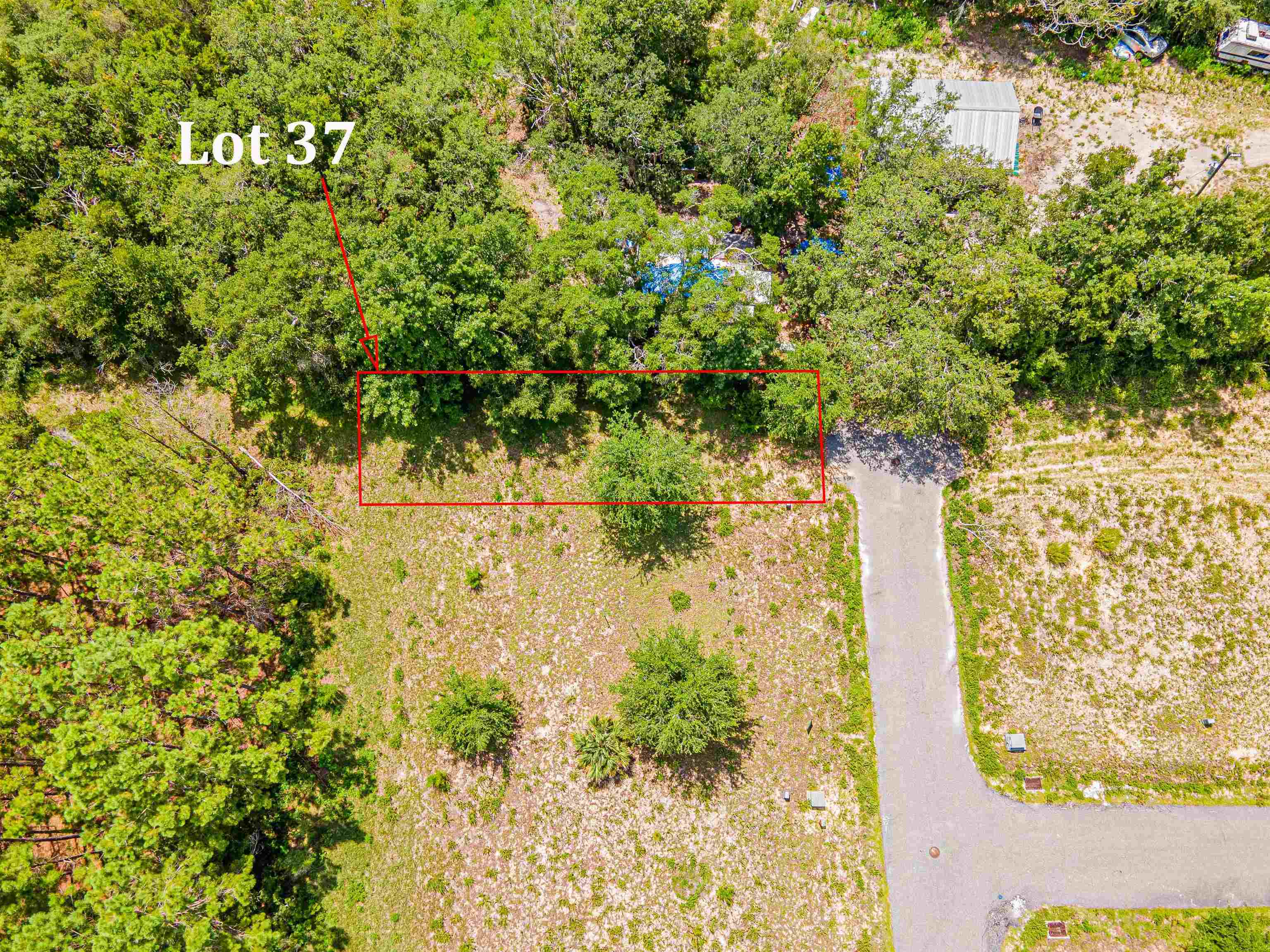 Lot 37 River Shores At Jena, STEINHATCHEE, Florida image 2