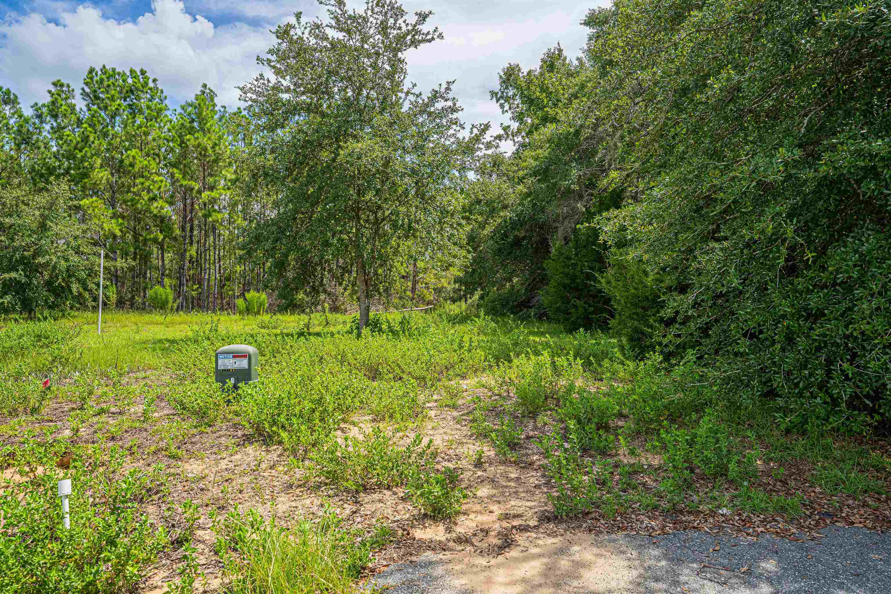 Lot 37 River Shores At Jena, STEINHATCHEE, Florida image 3