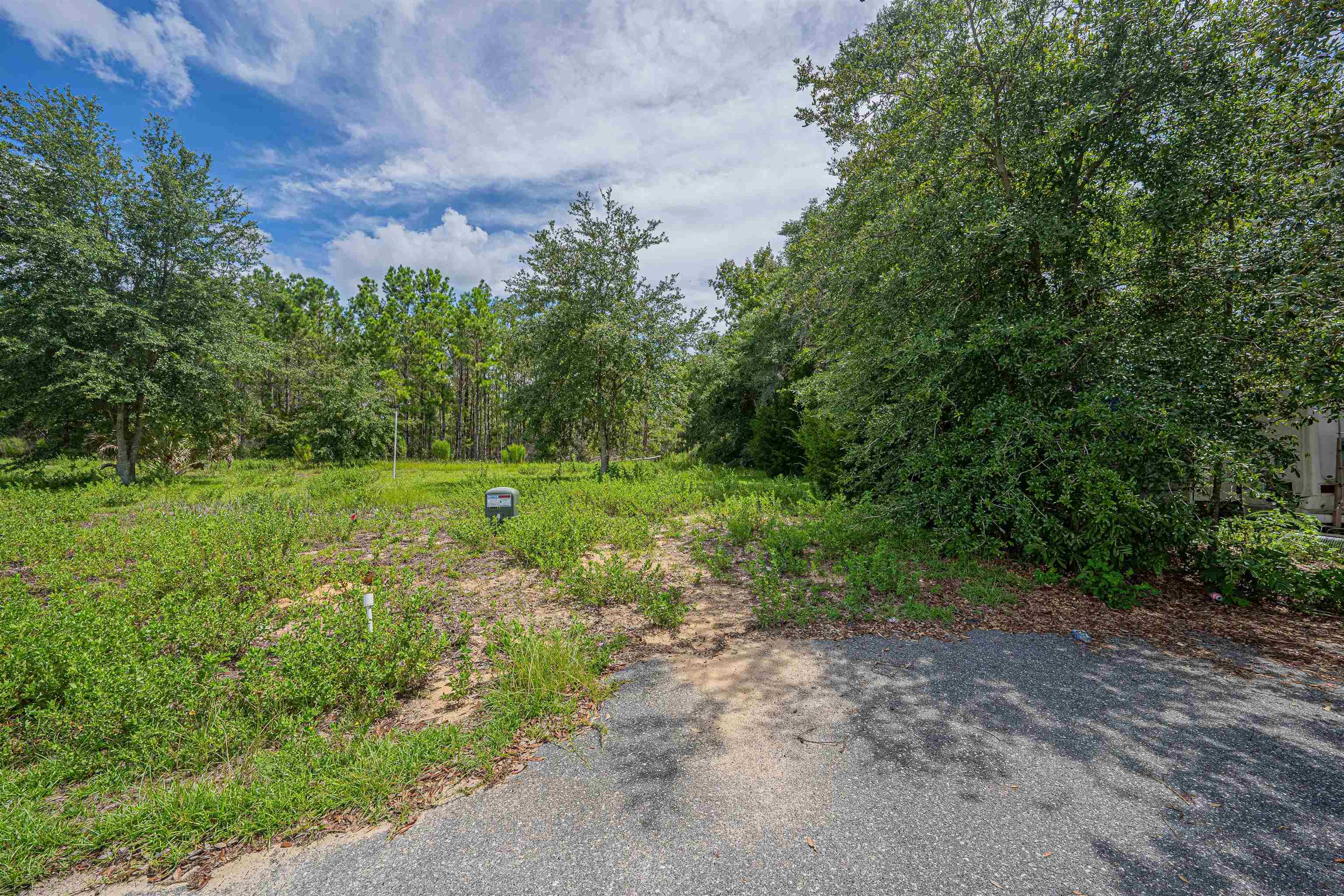 Lot 37 River Shores At Jena, STEINHATCHEE, Florida image 31