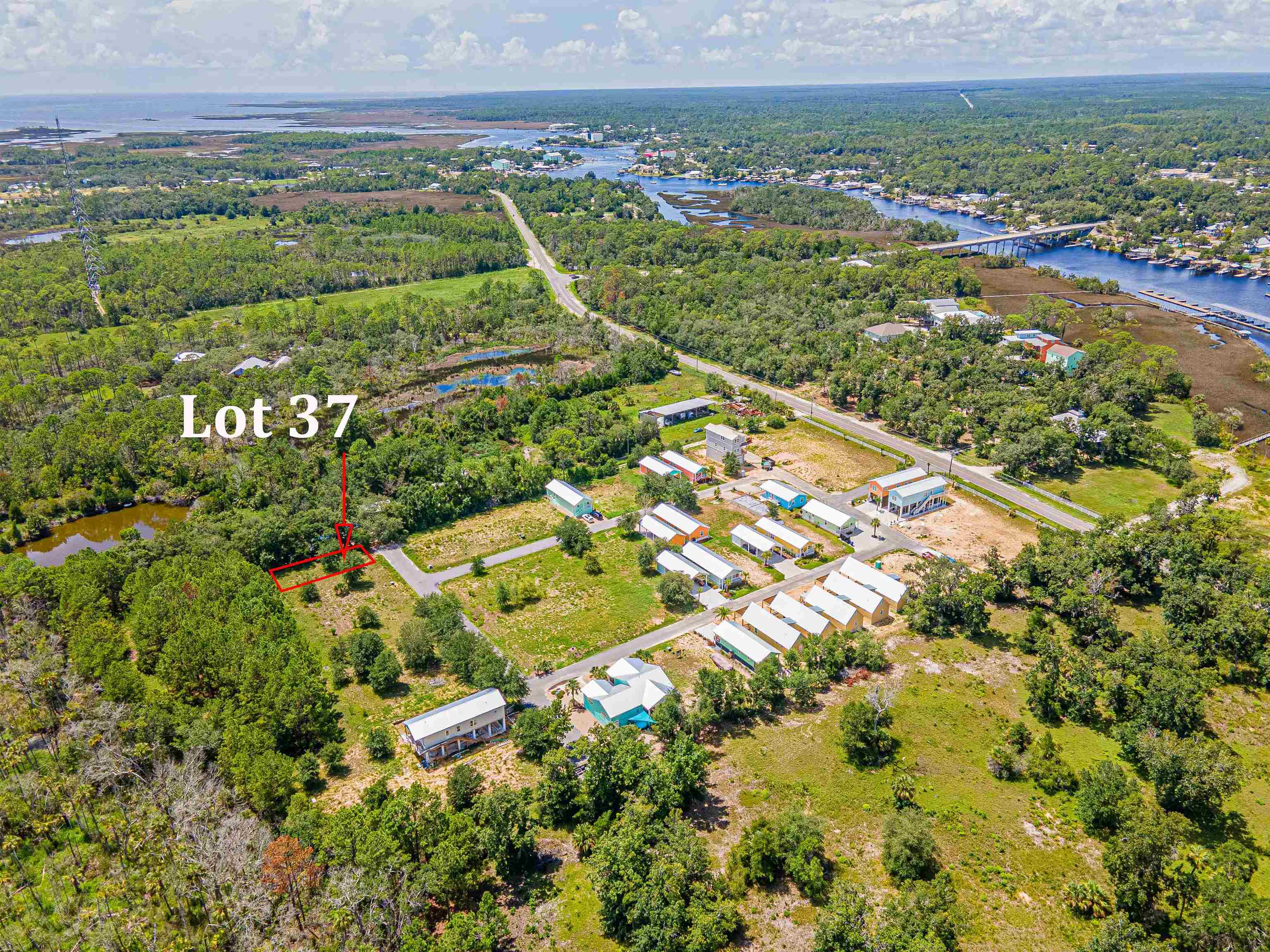 Lot 37 River Shores At Jena, STEINHATCHEE, Florida image 4