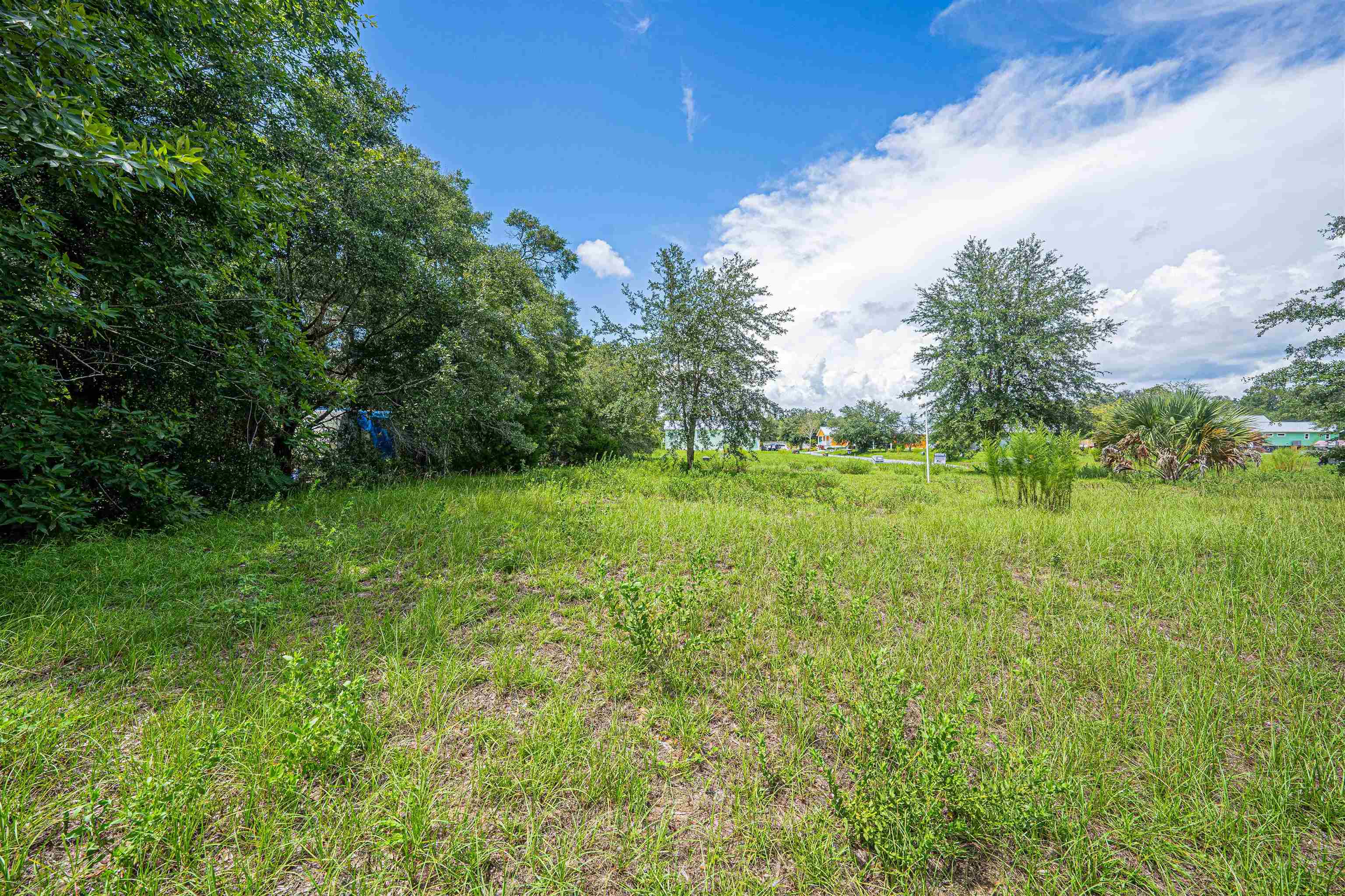 Lot 37 River Shores At Jena, STEINHATCHEE, Florida image 7