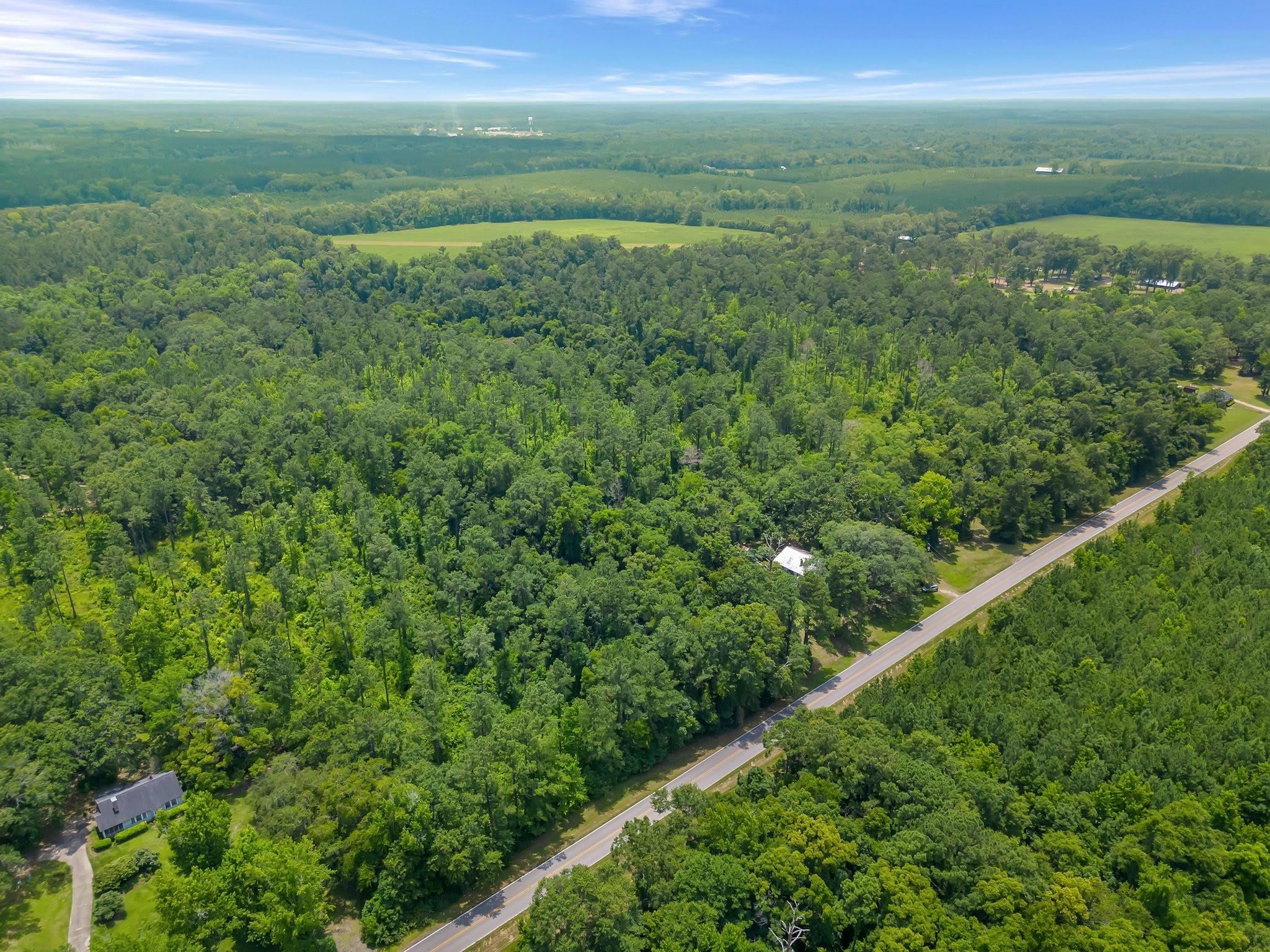 -XX- Solomon Dairy Road, Quincy, Florida image 2