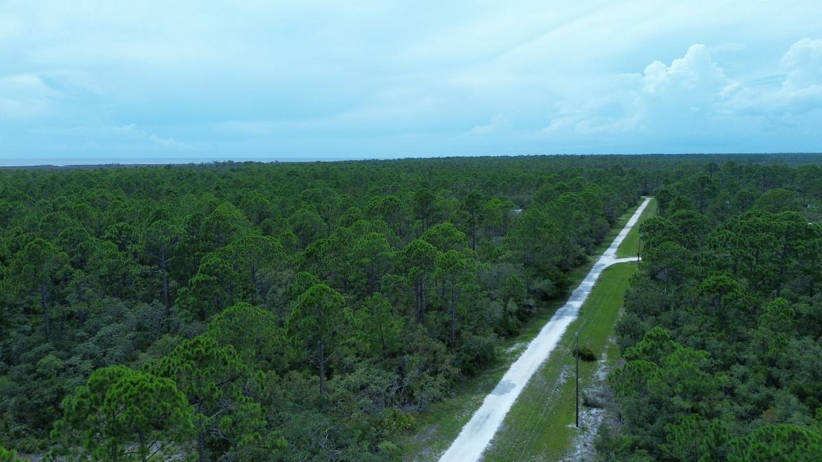 Gulf Way, Perry, Florida image 3