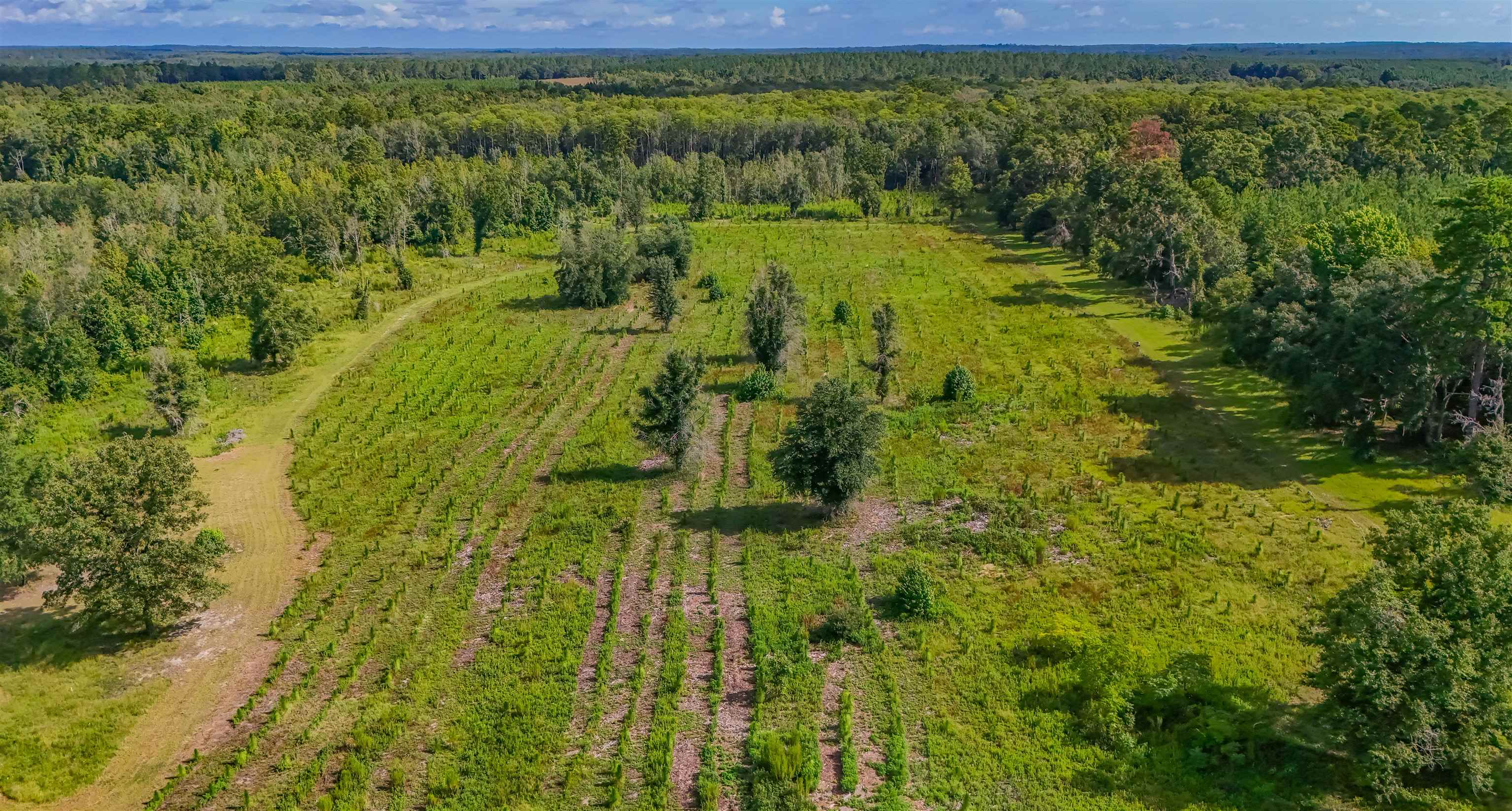 1616 NW Flowers Road, Madison, Florida image 30