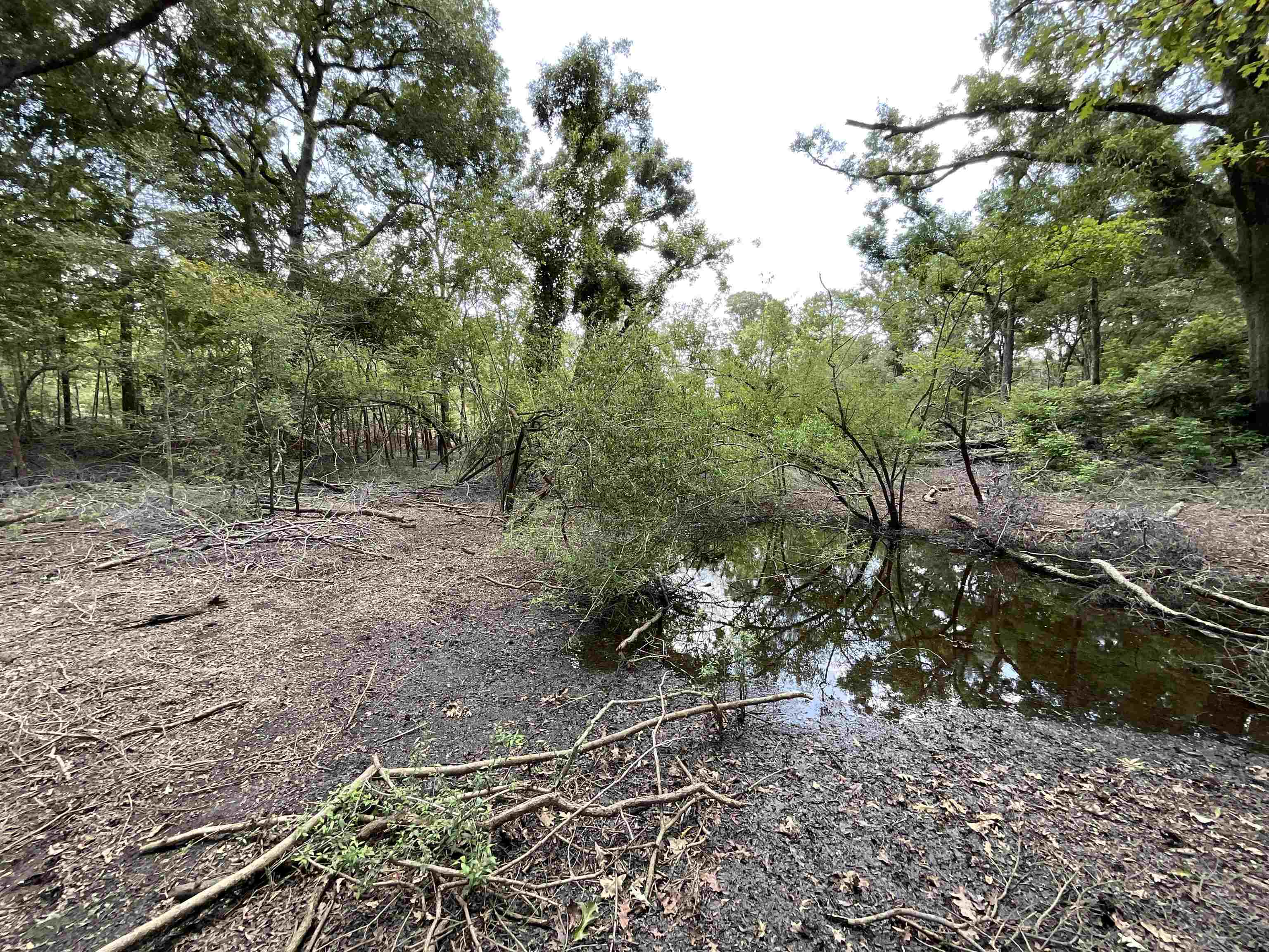 Vacant NW Little Deer Trail, Mayo, Florida image 25