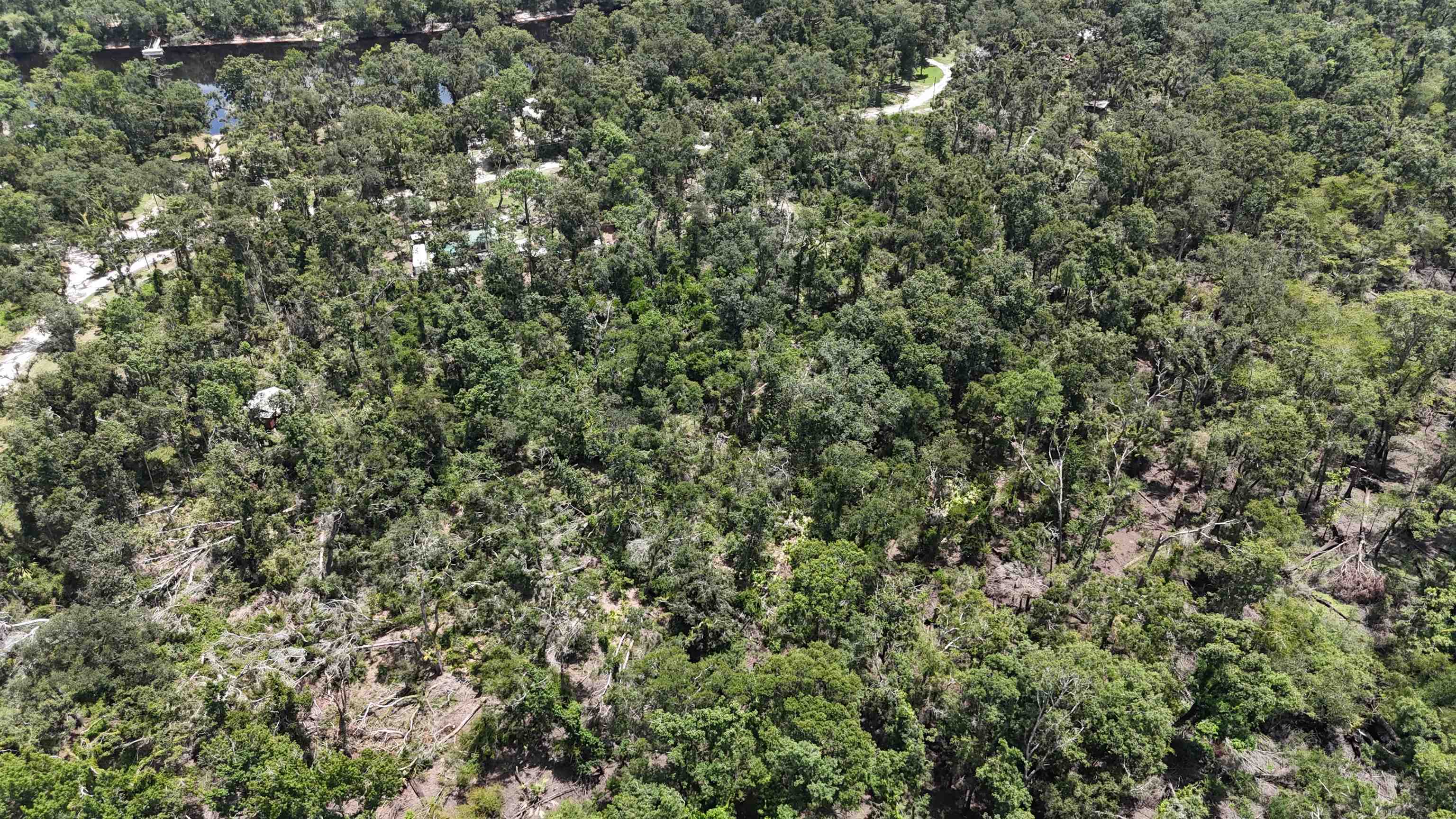 Vacant NW Little Deer Trail, Mayo, Florida image 3