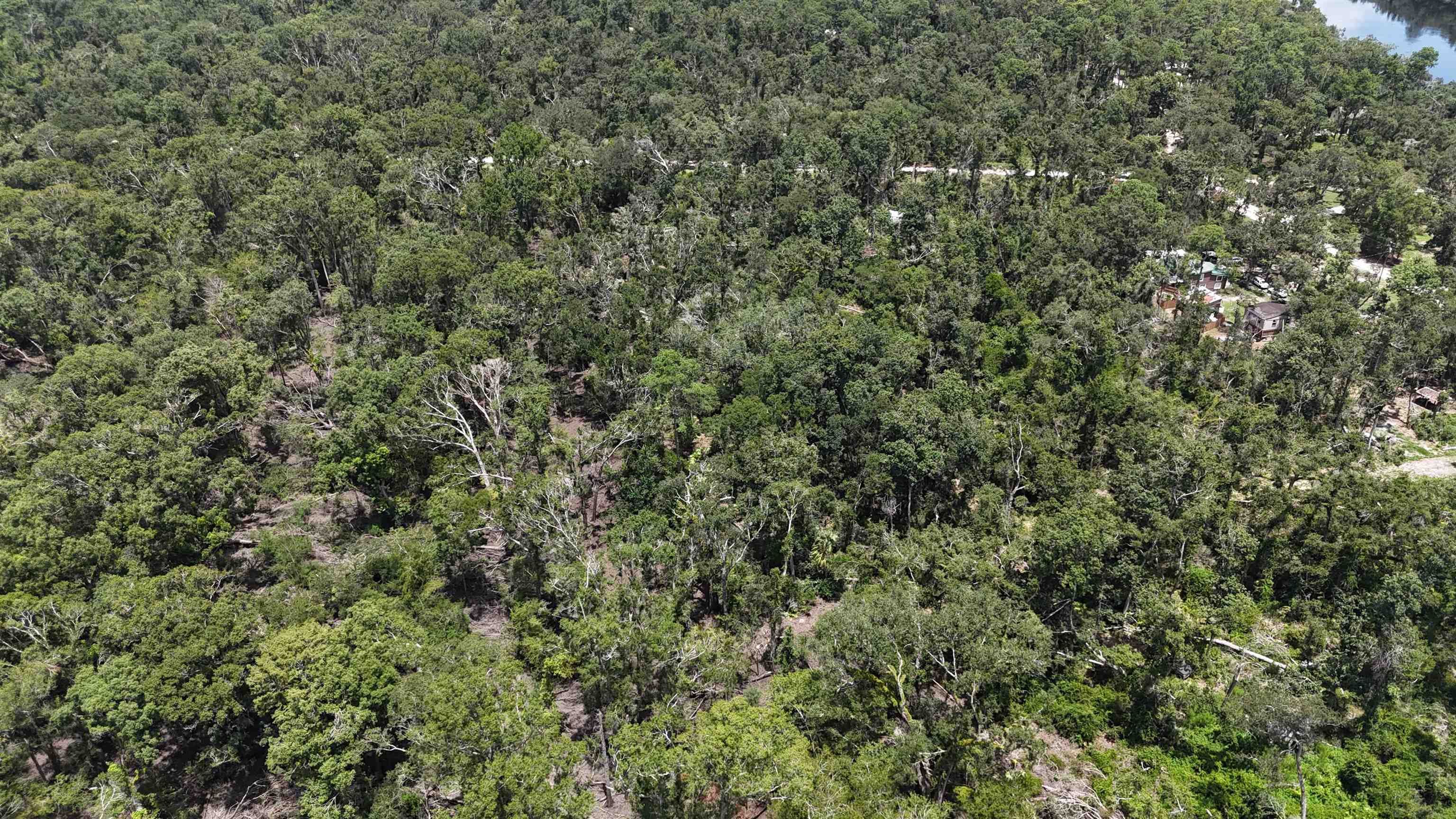 Vacant NW Little Deer Trail, Mayo, Florida image 31