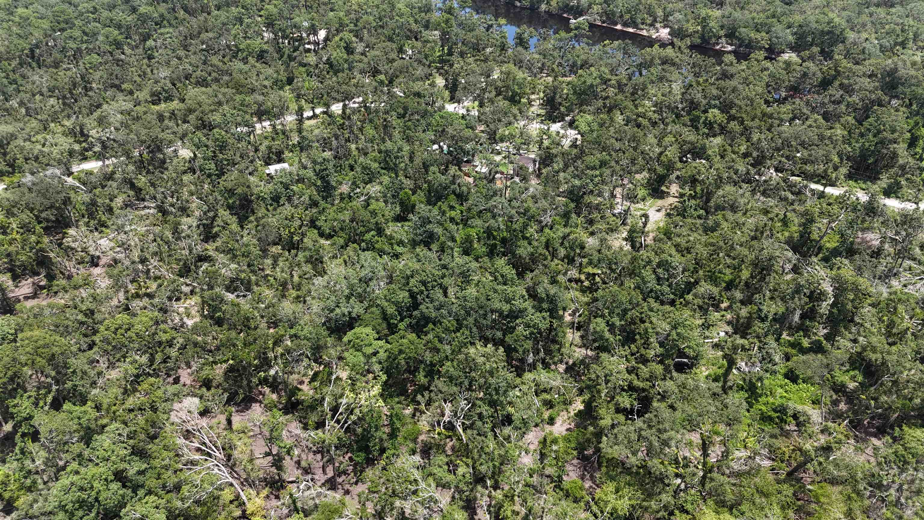 Vacant NW Little Deer Trail, Mayo, Florida image 32