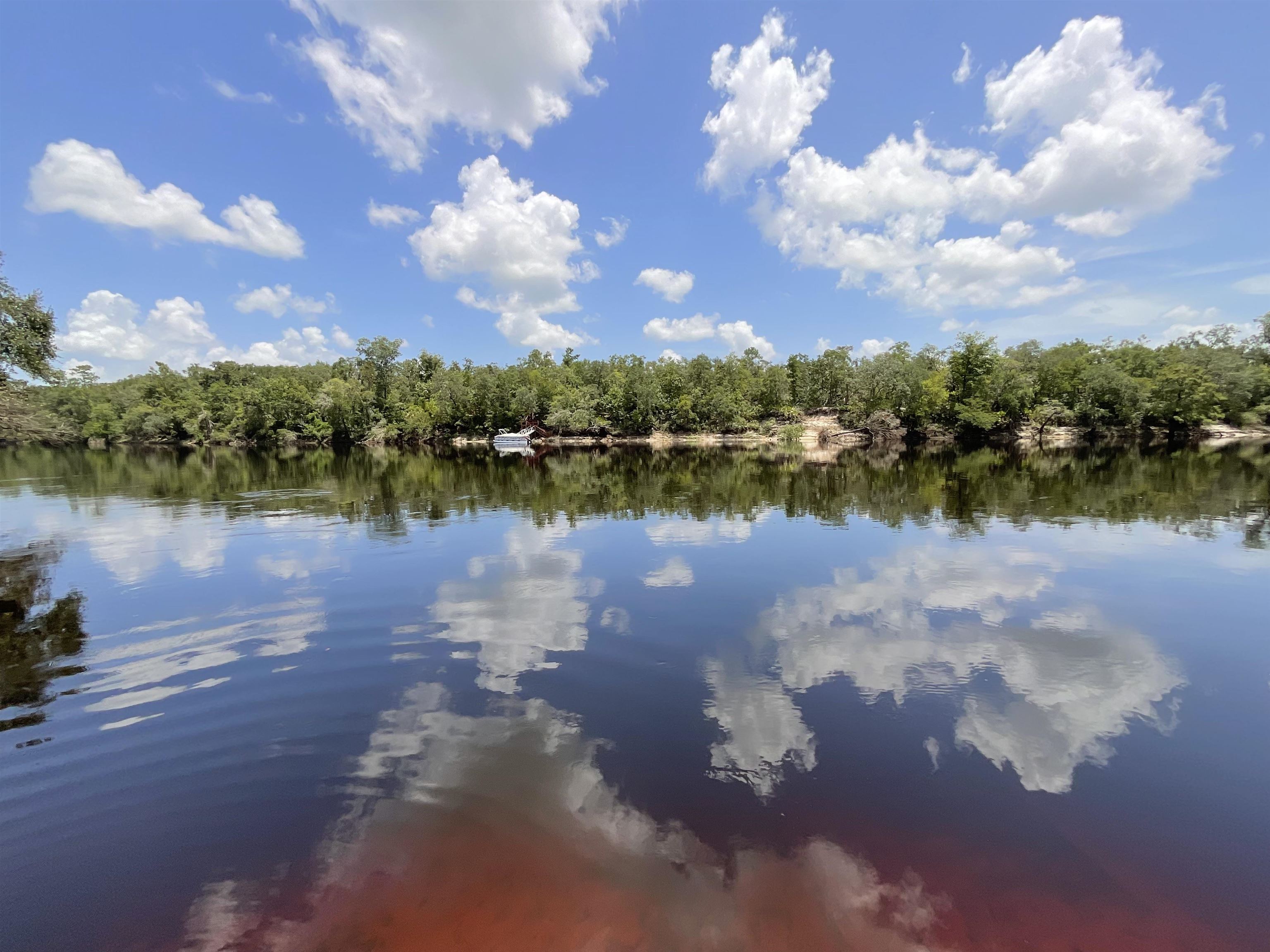 Vacant NW Little Deer Trail, Mayo, Florida image 40