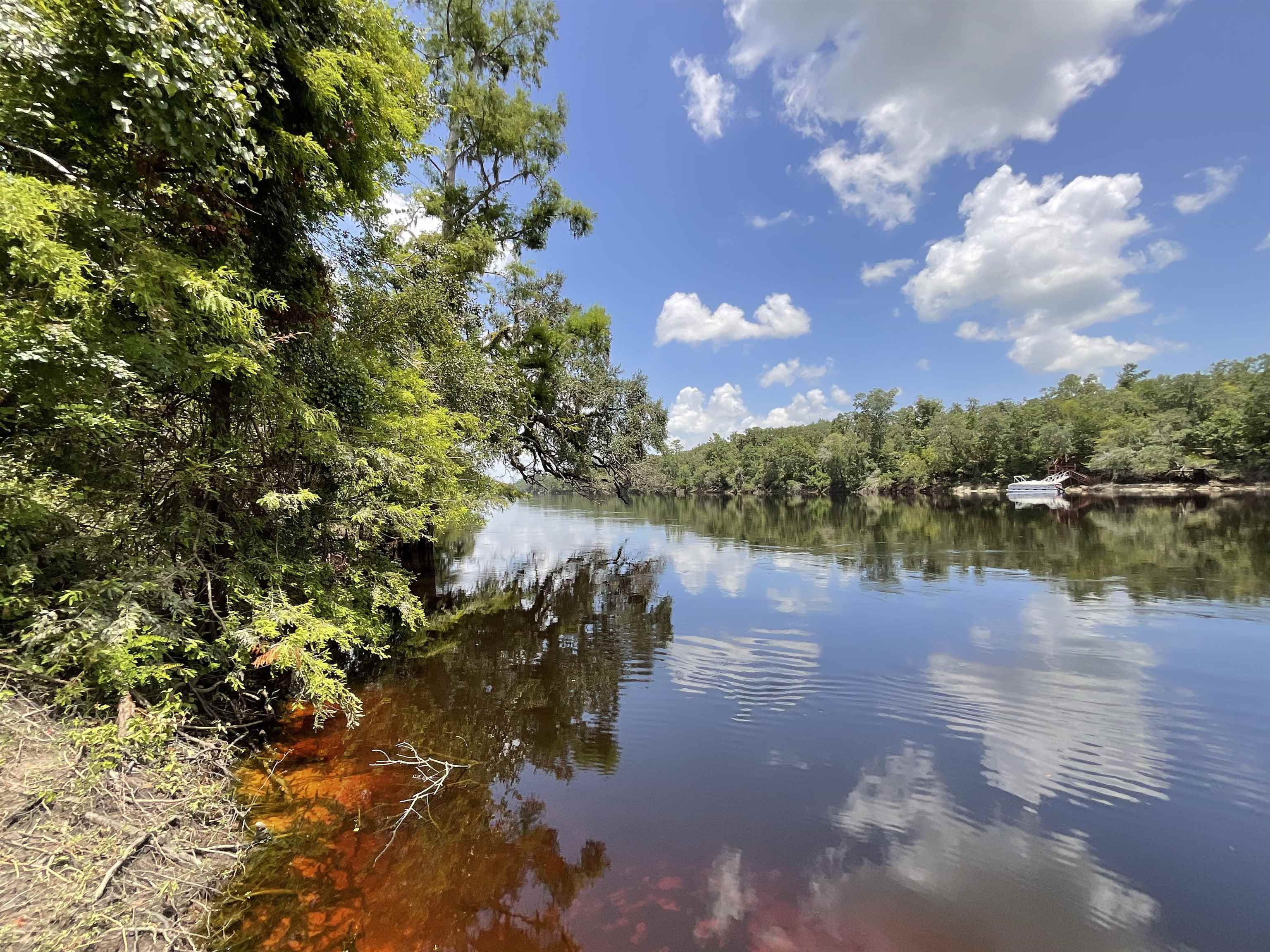 Vacant NW Little Deer Trail, Mayo, Florida image 42