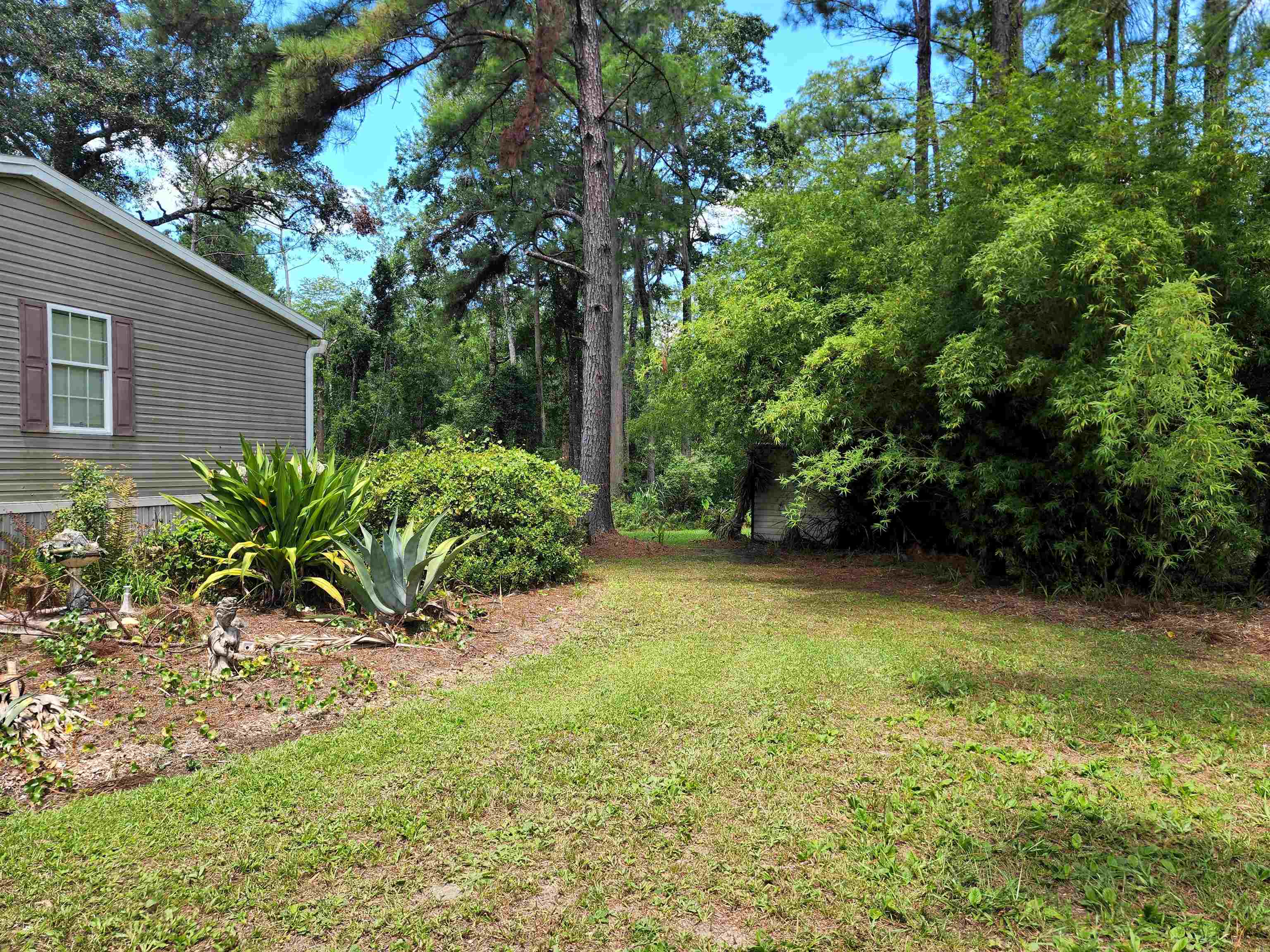 6724 Rosenberg Lane, GREENVILLE, Florida image 14