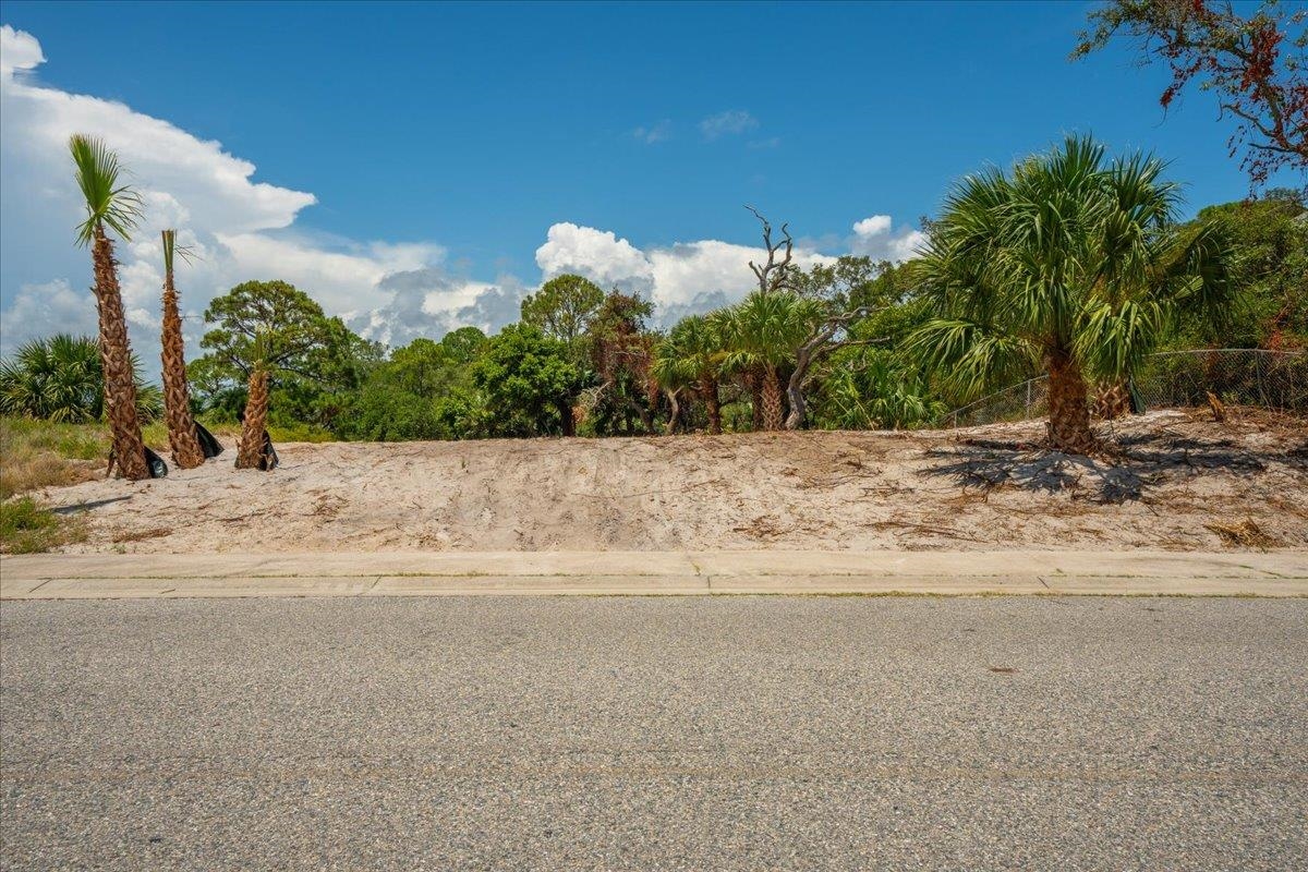 23 Tom Roberts Road, Alligator Point, Florida image 5