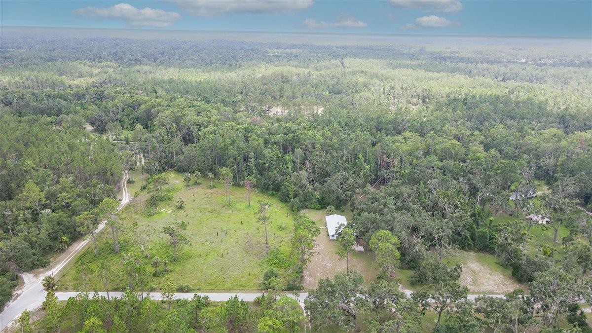 2831 W Mckinley Maddox Road, Perry, Florida image 9