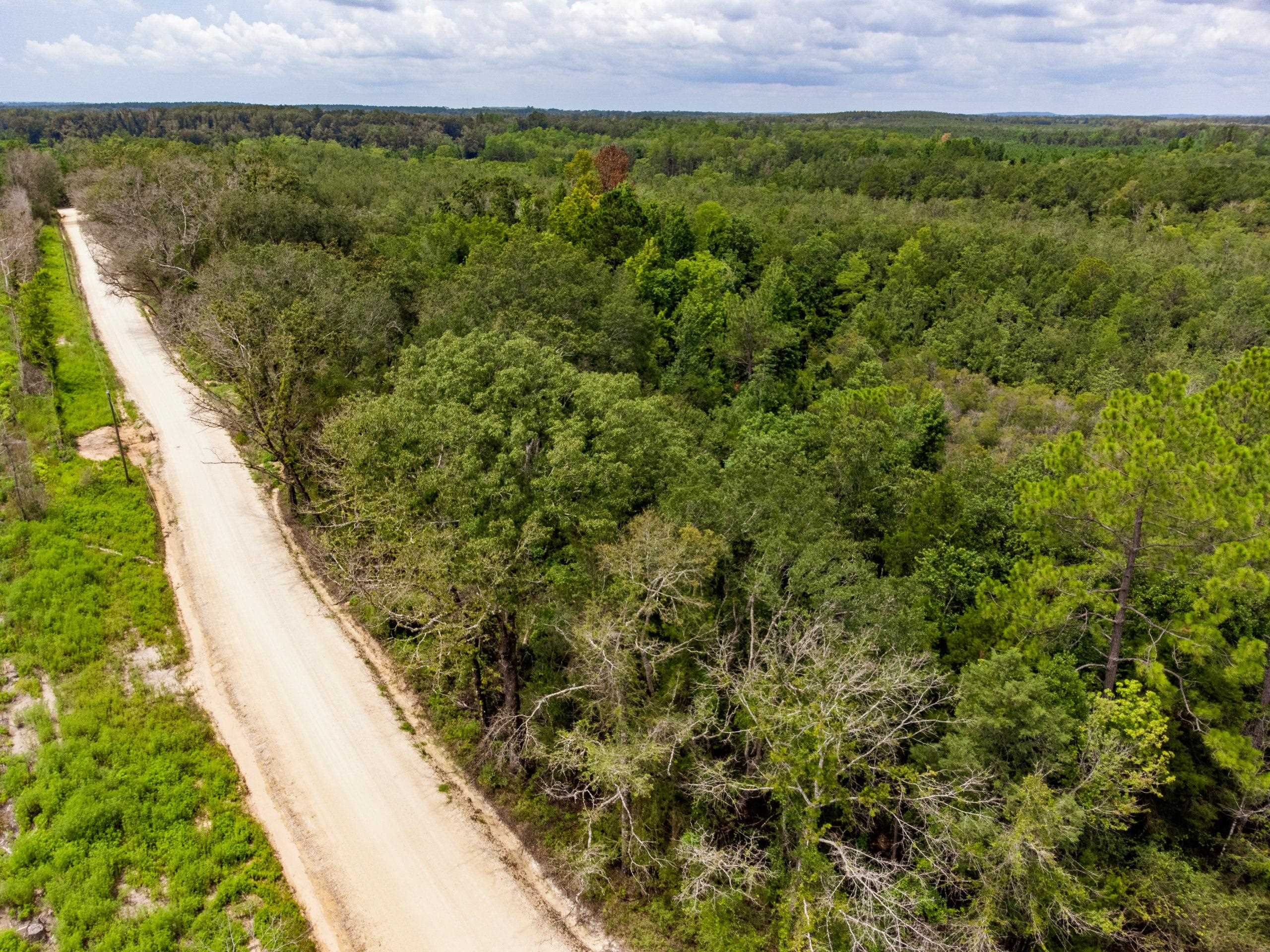 TBD Harcus Road, BONIFAY, Florida image 1