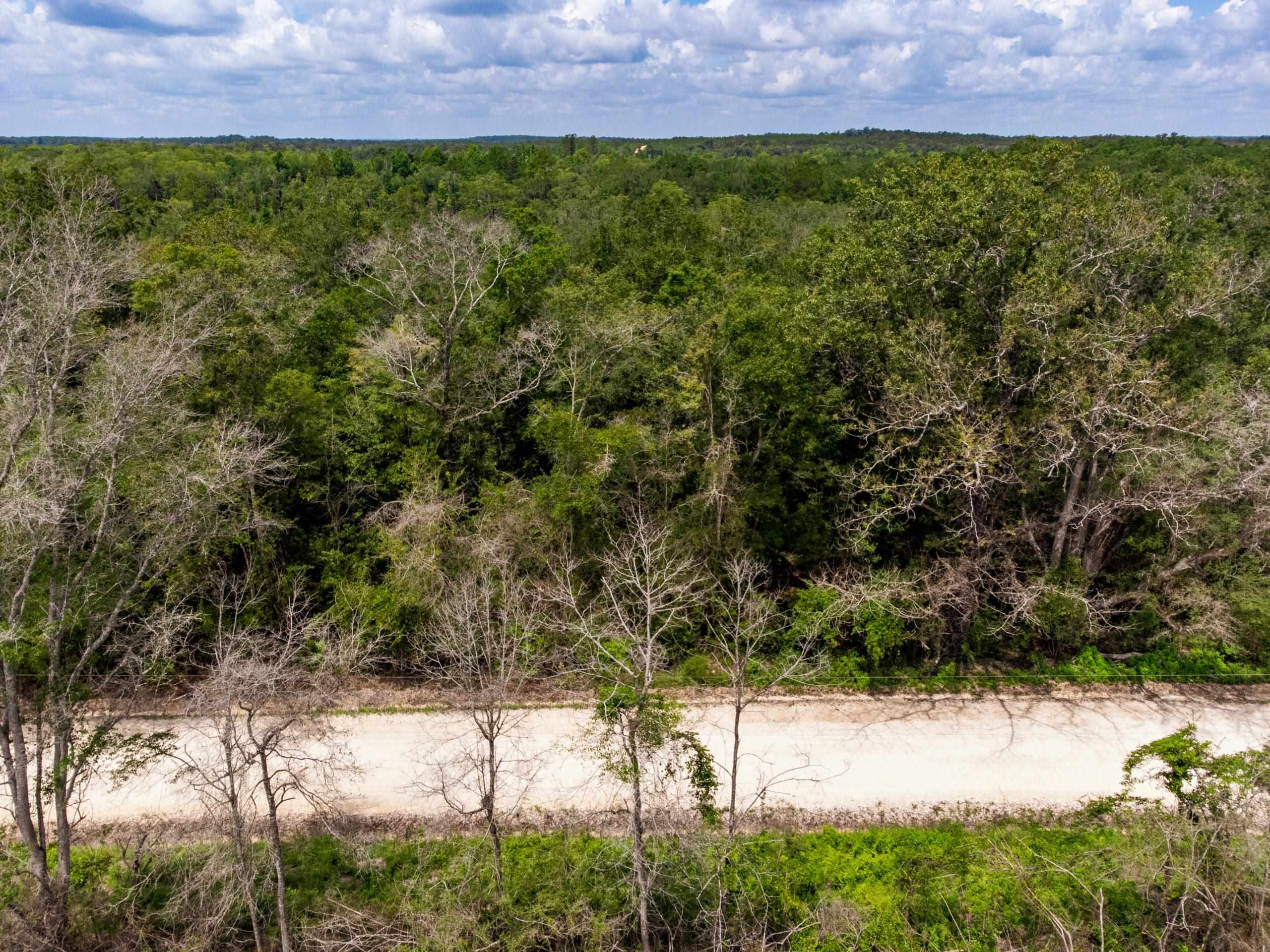 TBD Harcus Road, BONIFAY, Florida image 19