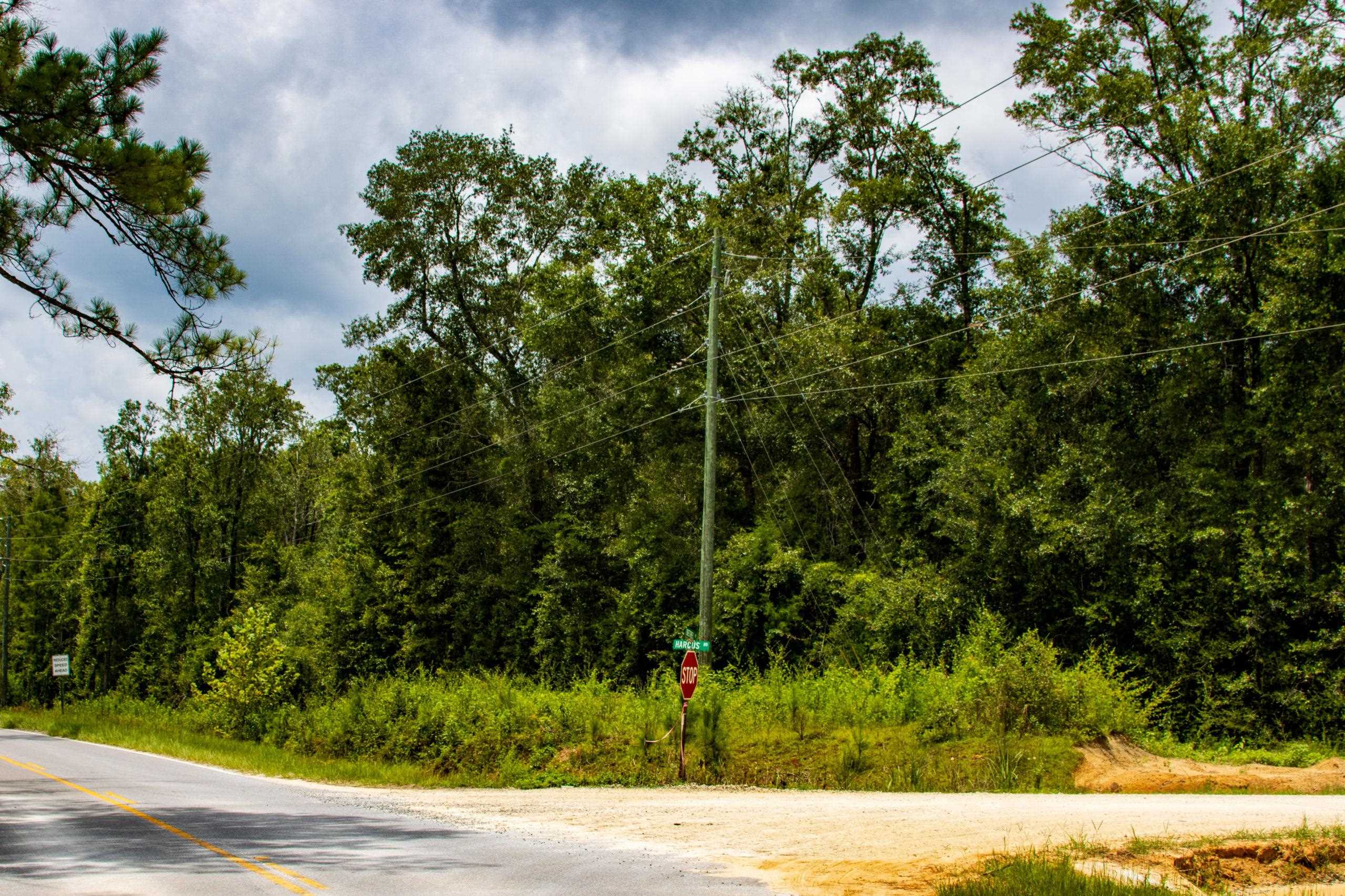 TBD Harcus Road, BONIFAY, Florida image 3