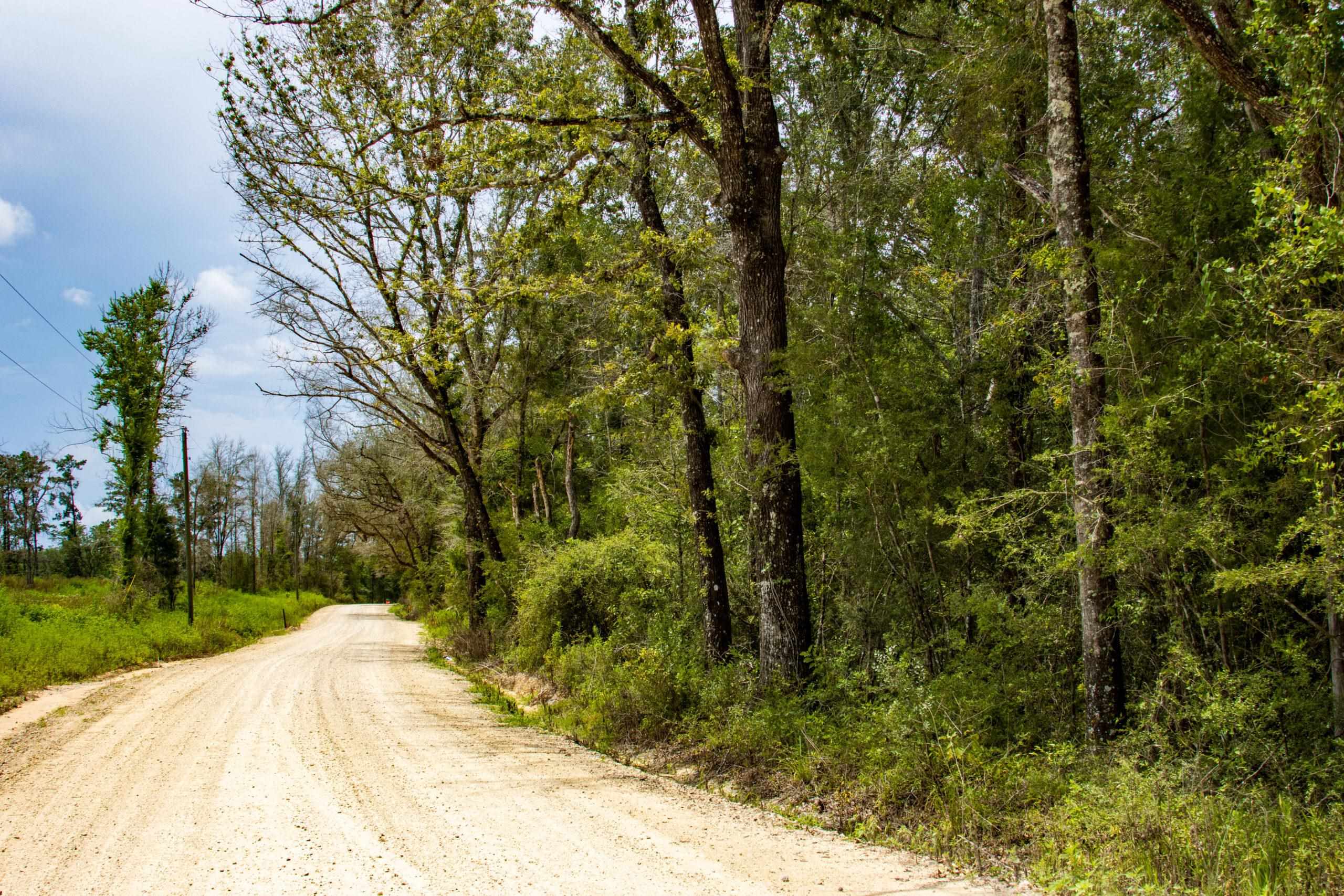 TBD Harcus Road, BONIFAY, Florida image 6