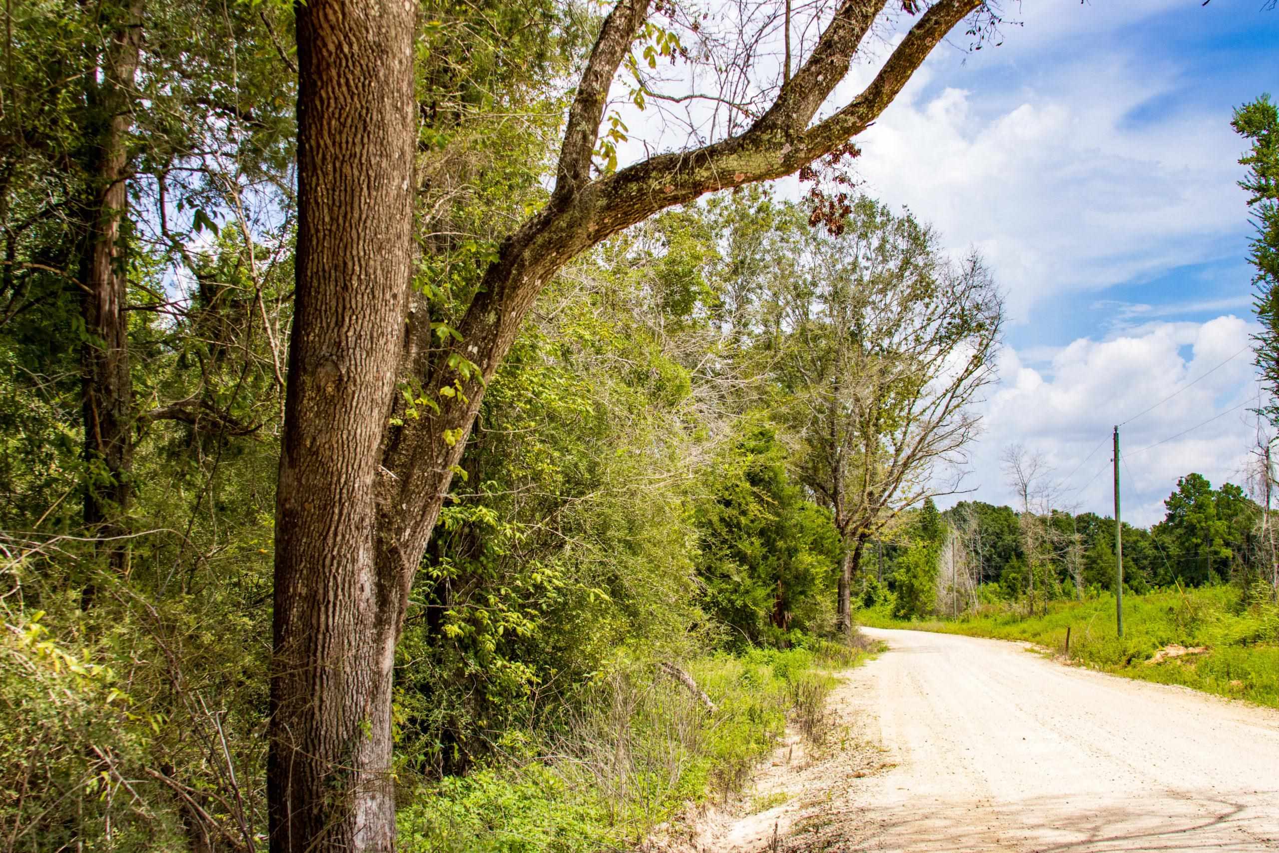 TBD Harcus Road, BONIFAY, Florida image 7