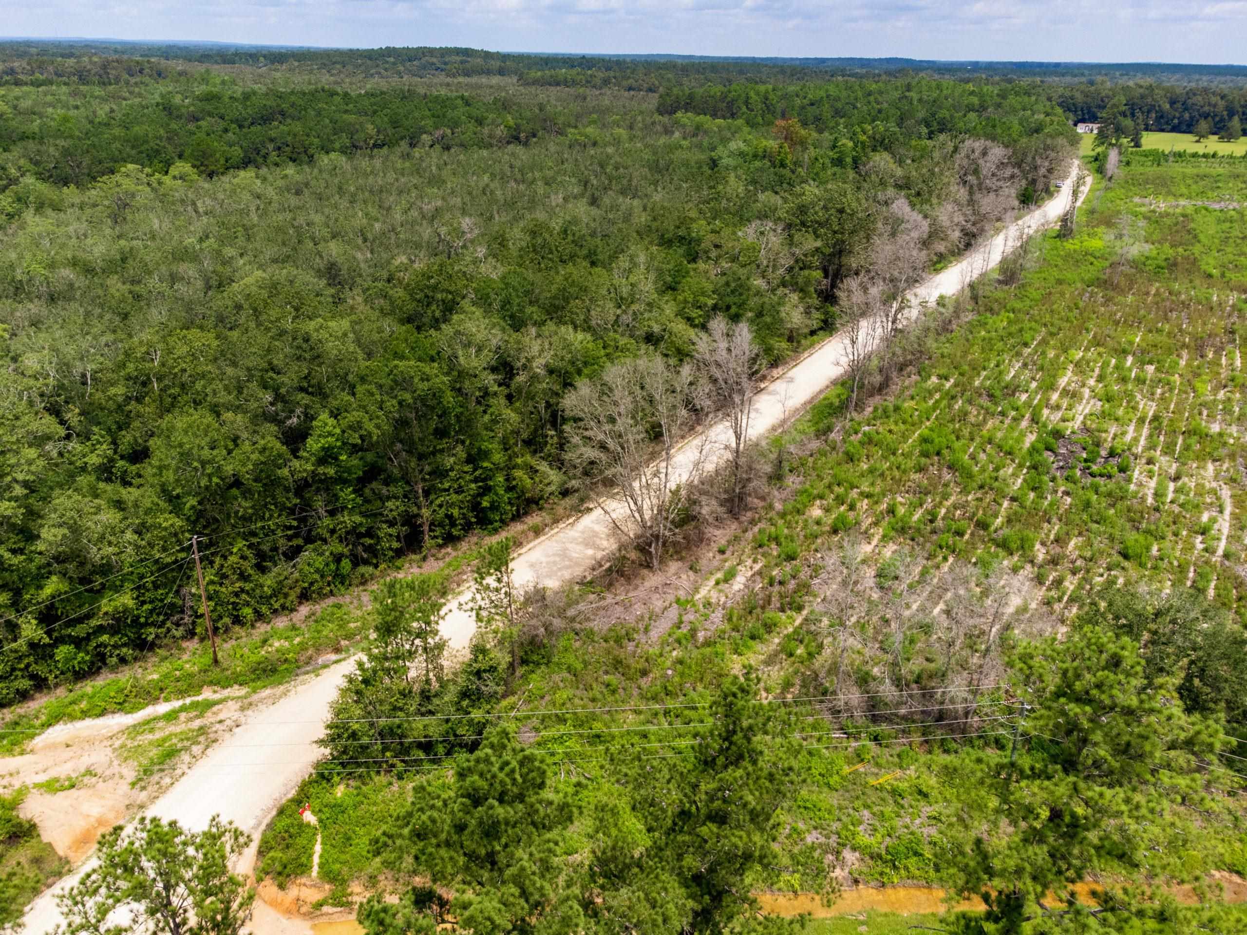 TBD Harcus Road, BONIFAY, Florida image 8