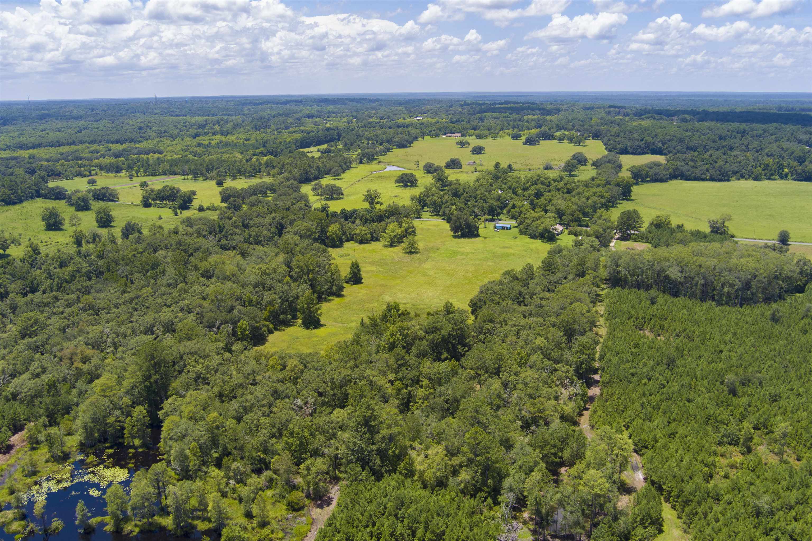 000 Clark Road, MONTICELLO, Florida image 9