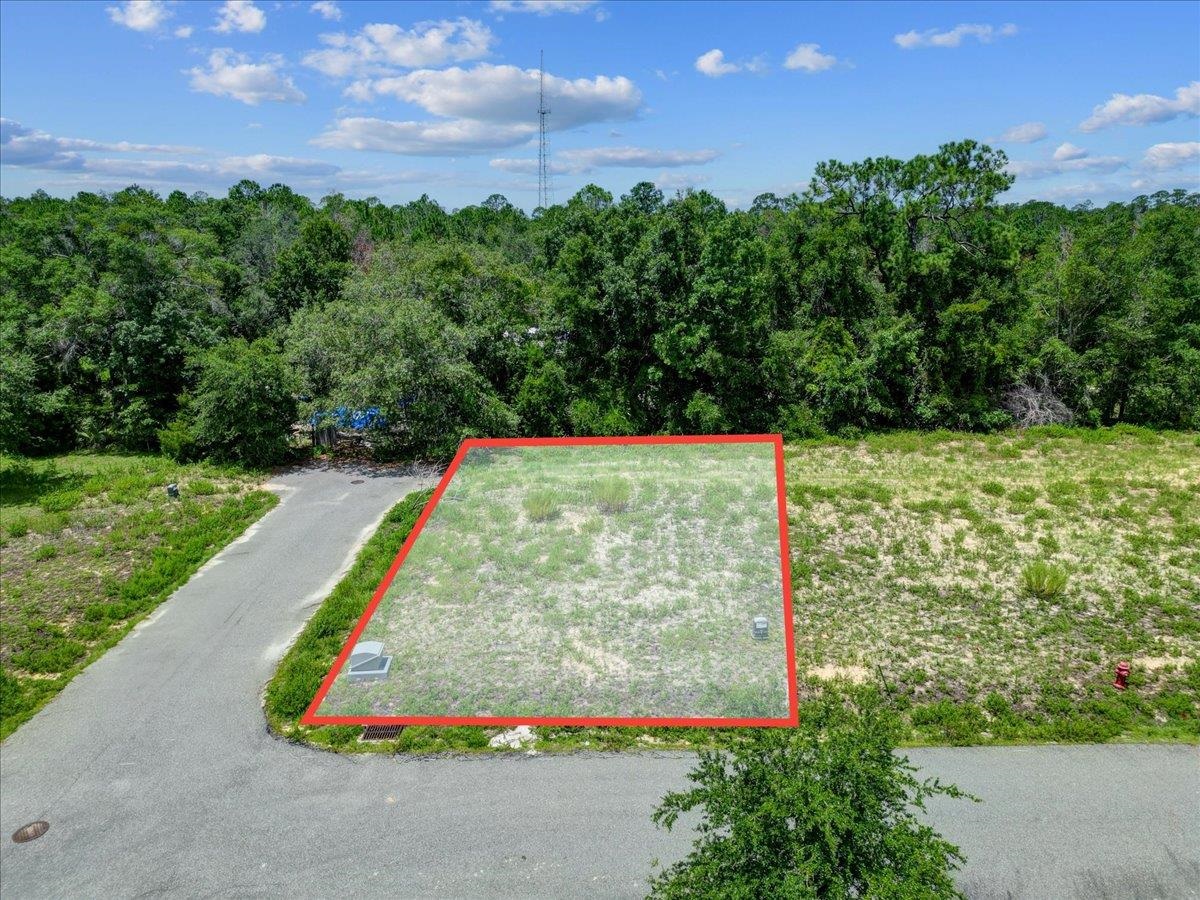 Lot 38 SW 879th Street, STEINHATCHEE, Florida image 2