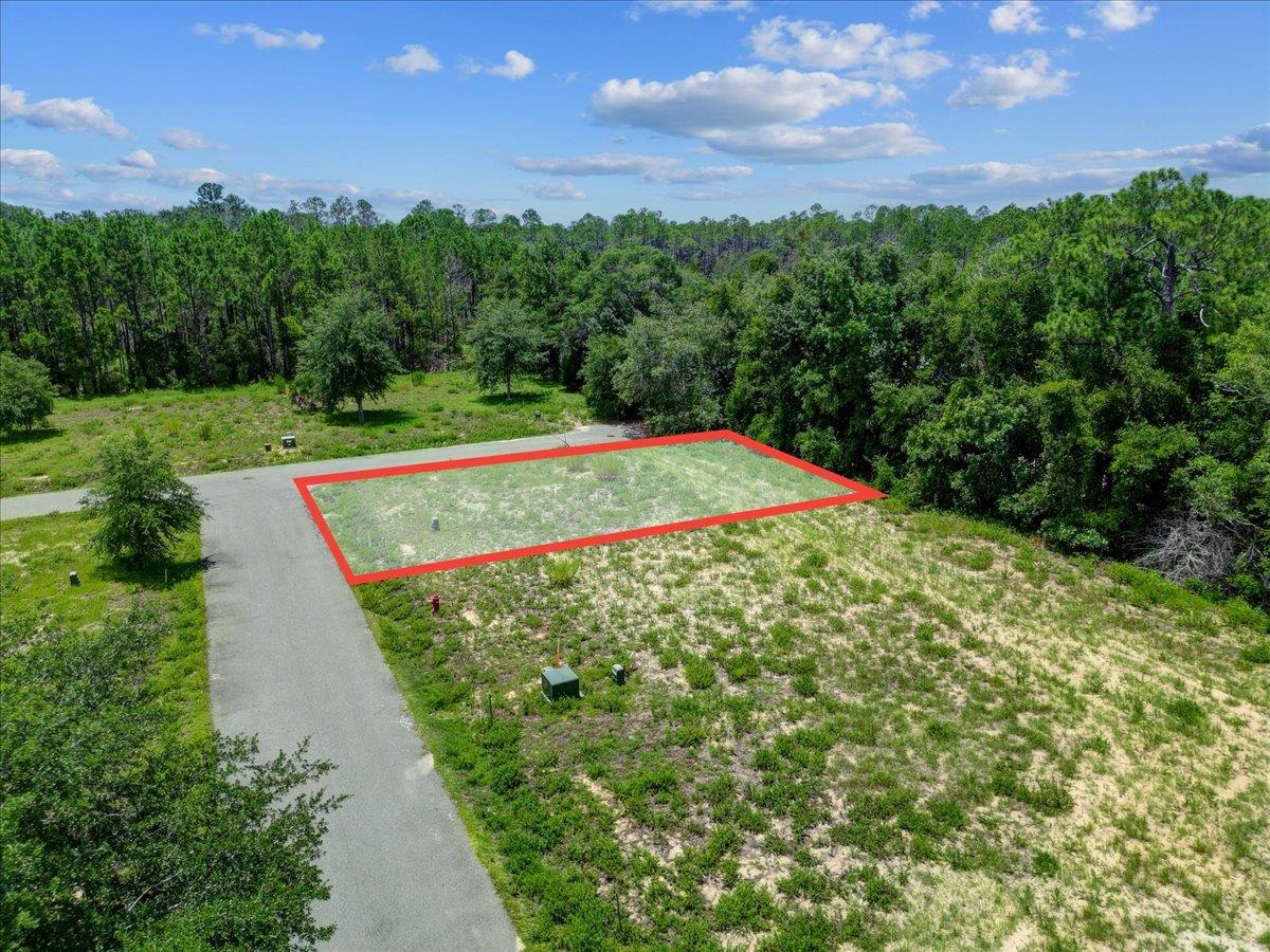 Lot 38 SW 879th Street, STEINHATCHEE, Florida image 20