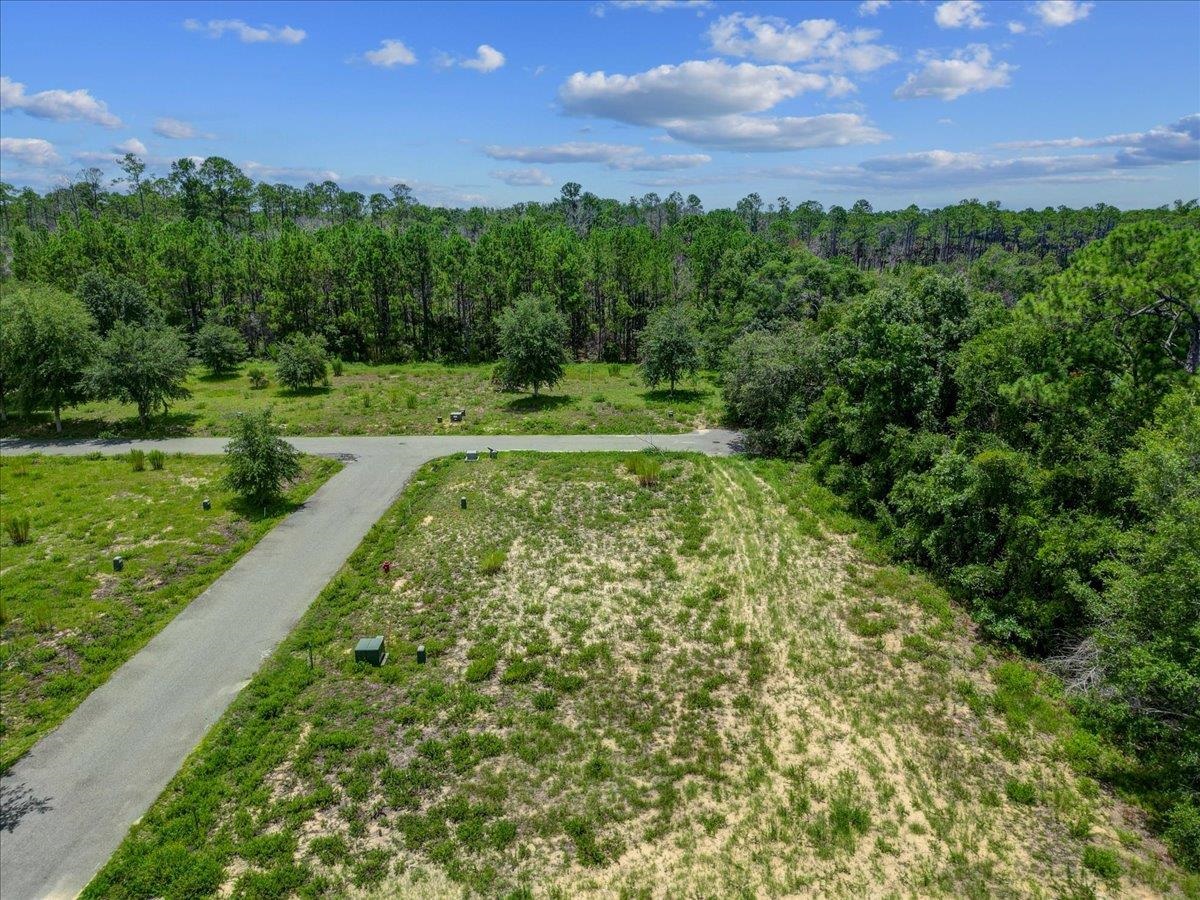 Lot 38 SW 879th Street, STEINHATCHEE, Florida image 8