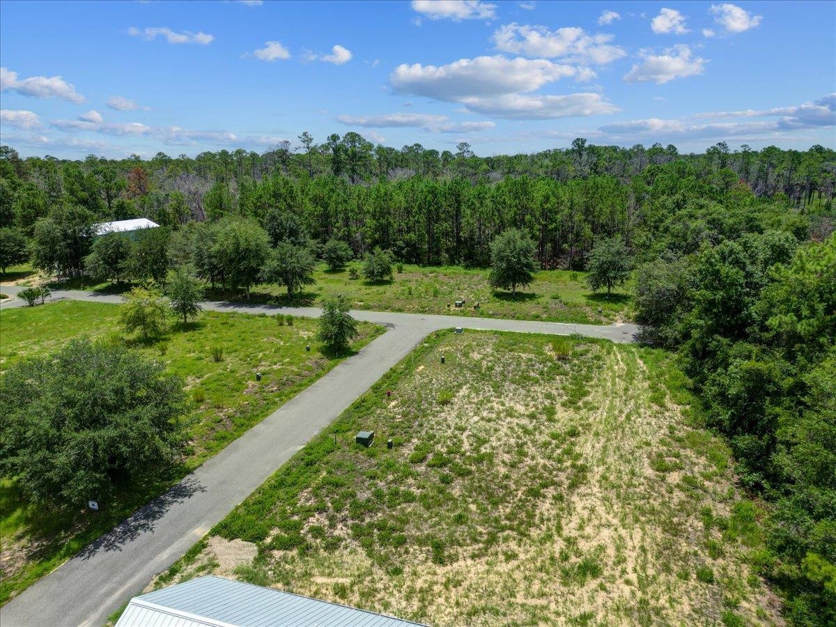 Lot 38 SW 879th Street, STEINHATCHEE, Florida image 9