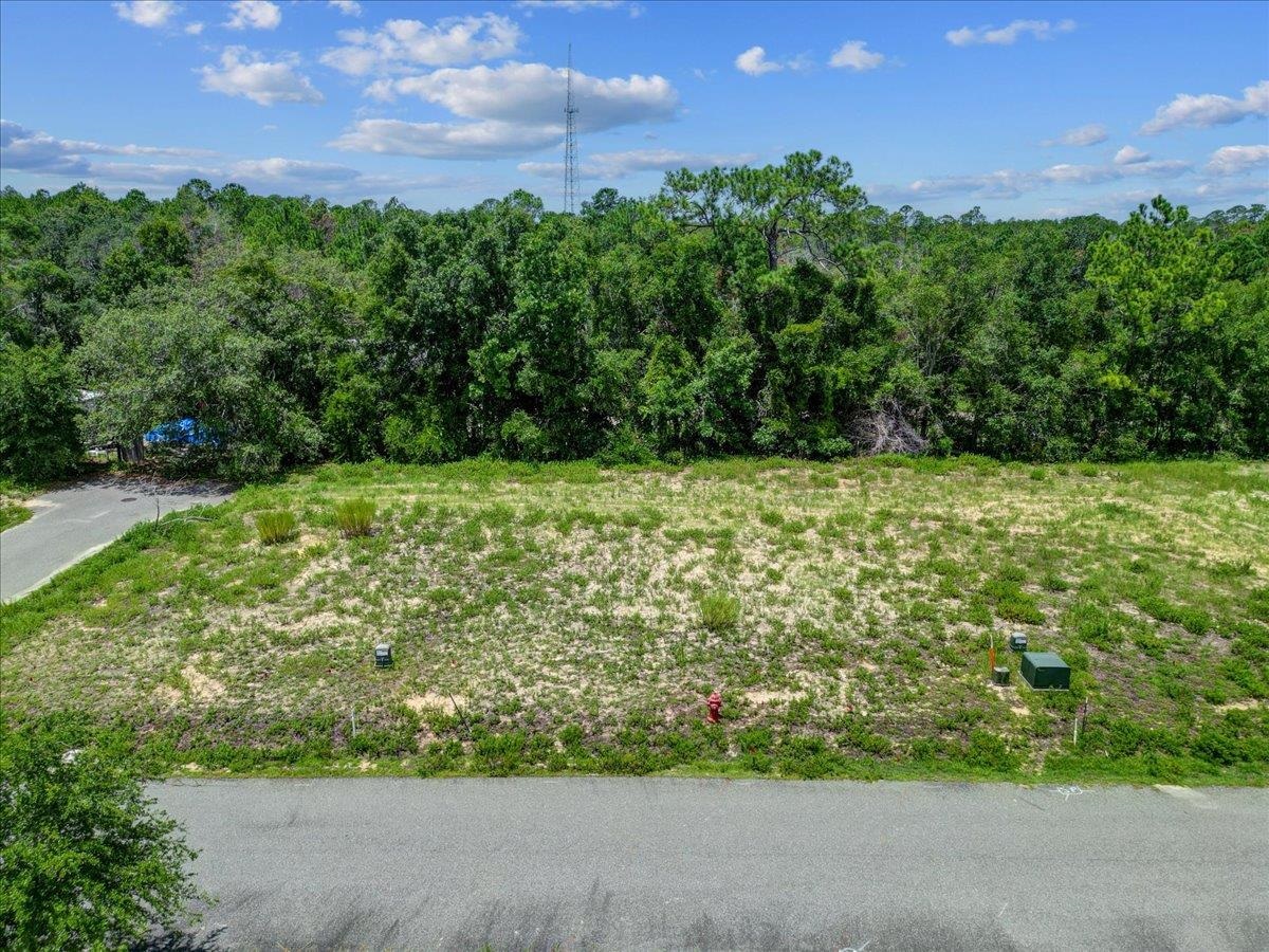 Lot 40 SW 879th Street, STEINHATCHEE, Florida image 9