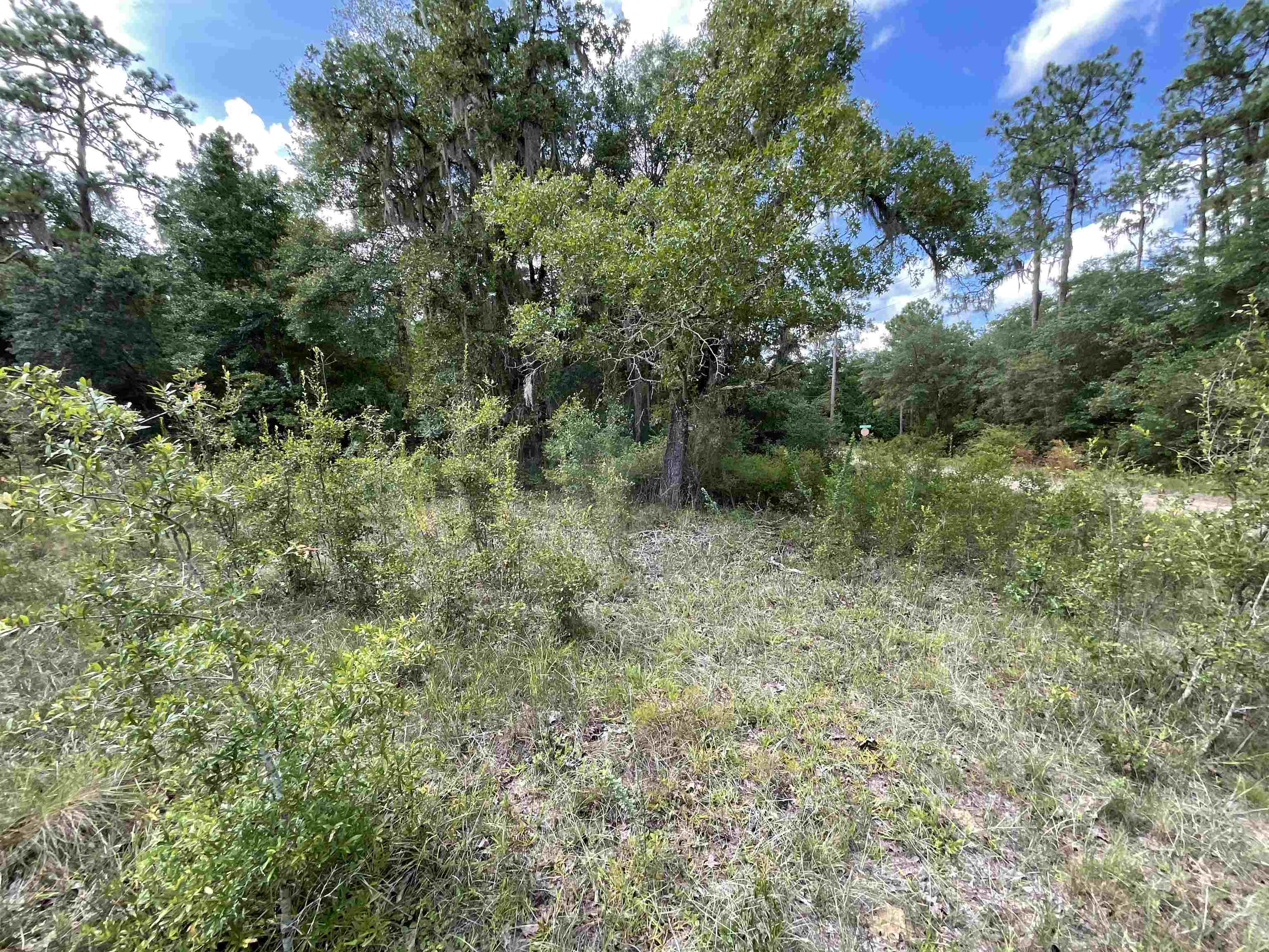 Vacant *Lot 58* NE Blackjack Loop #1, LEE, Florida image 15