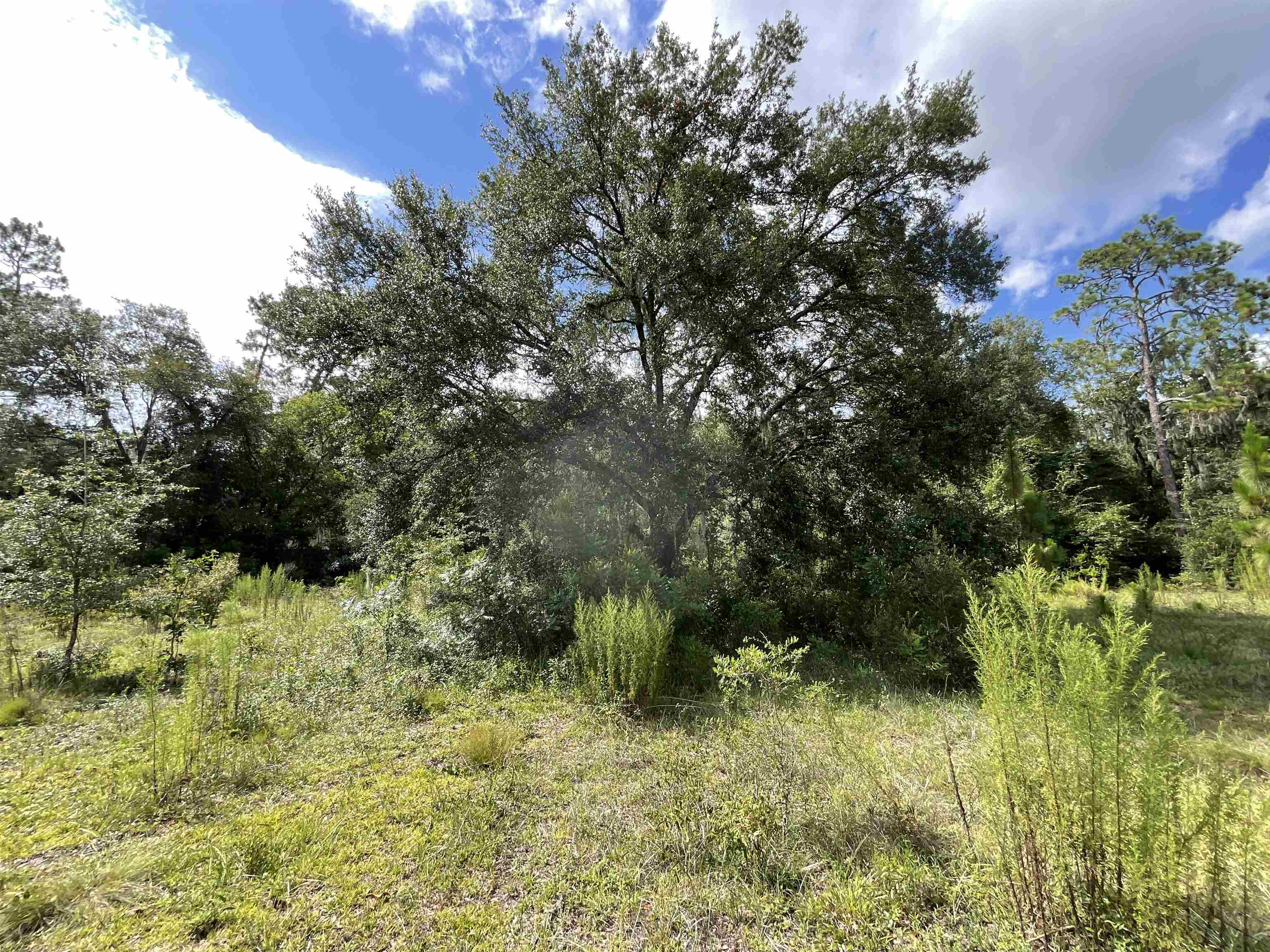 Vacant *Lot 58* NE Blackjack Loop #1, LEE, Florida image 17