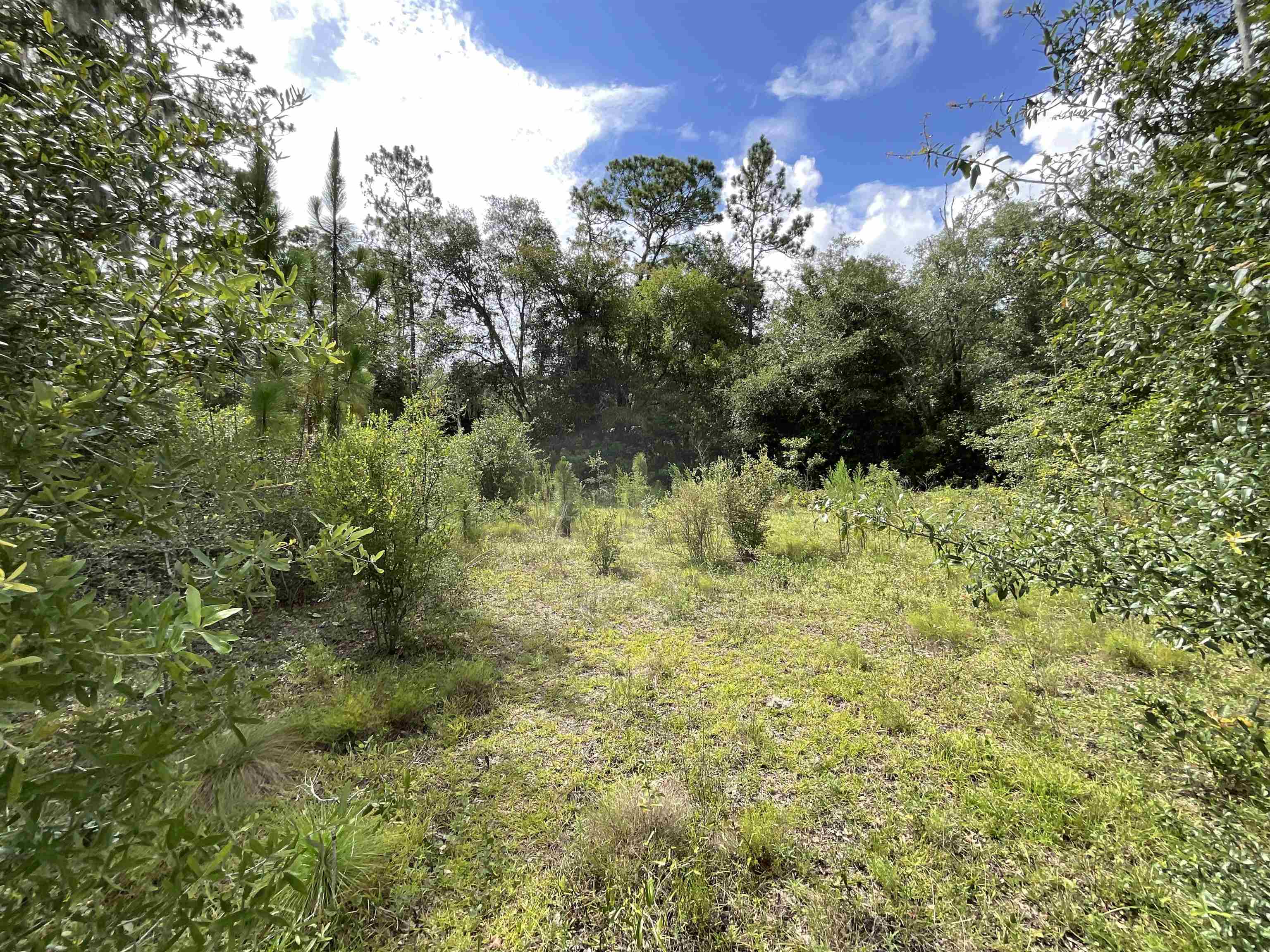 Vacant *Lot 58* NE Blackjack Loop #1, LEE, Florida image 18