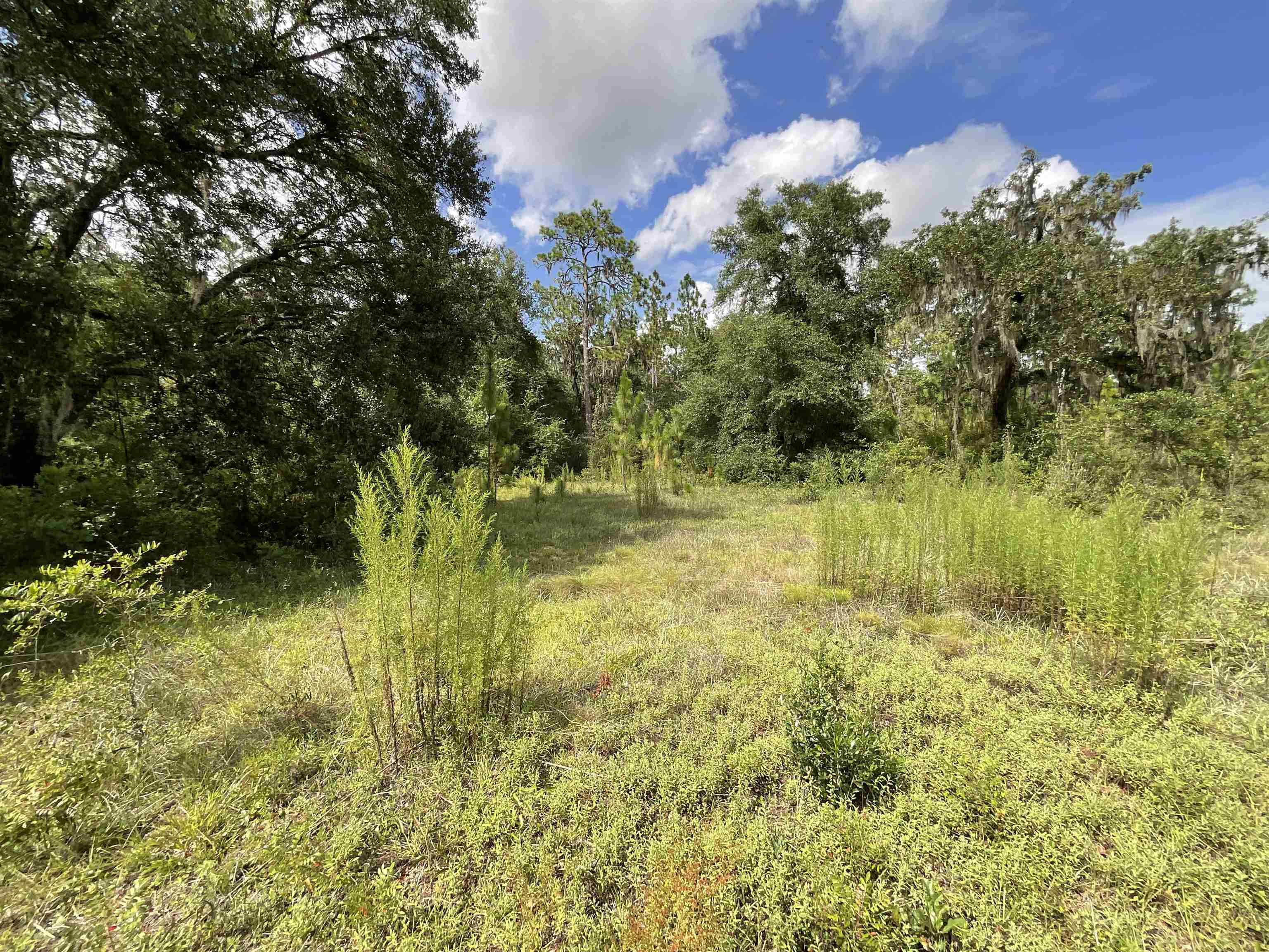 Vacant *Lot 58* NE Blackjack Loop #1, LEE, Florida image 7