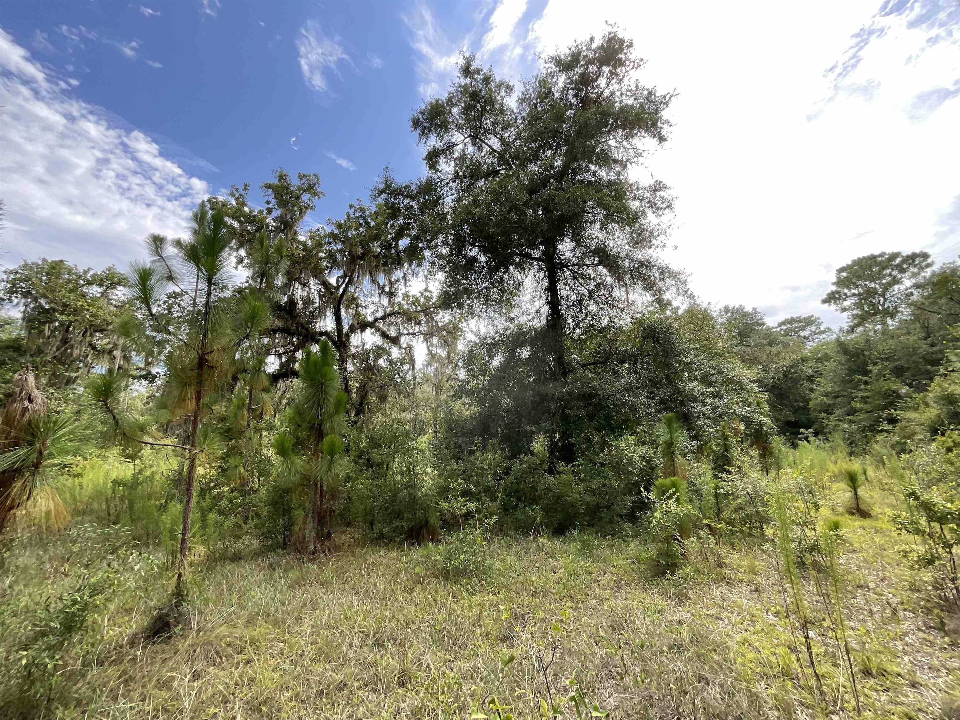 Vacant *Lot 58* NE Blackjack Loop #1, LEE, Florida image 9