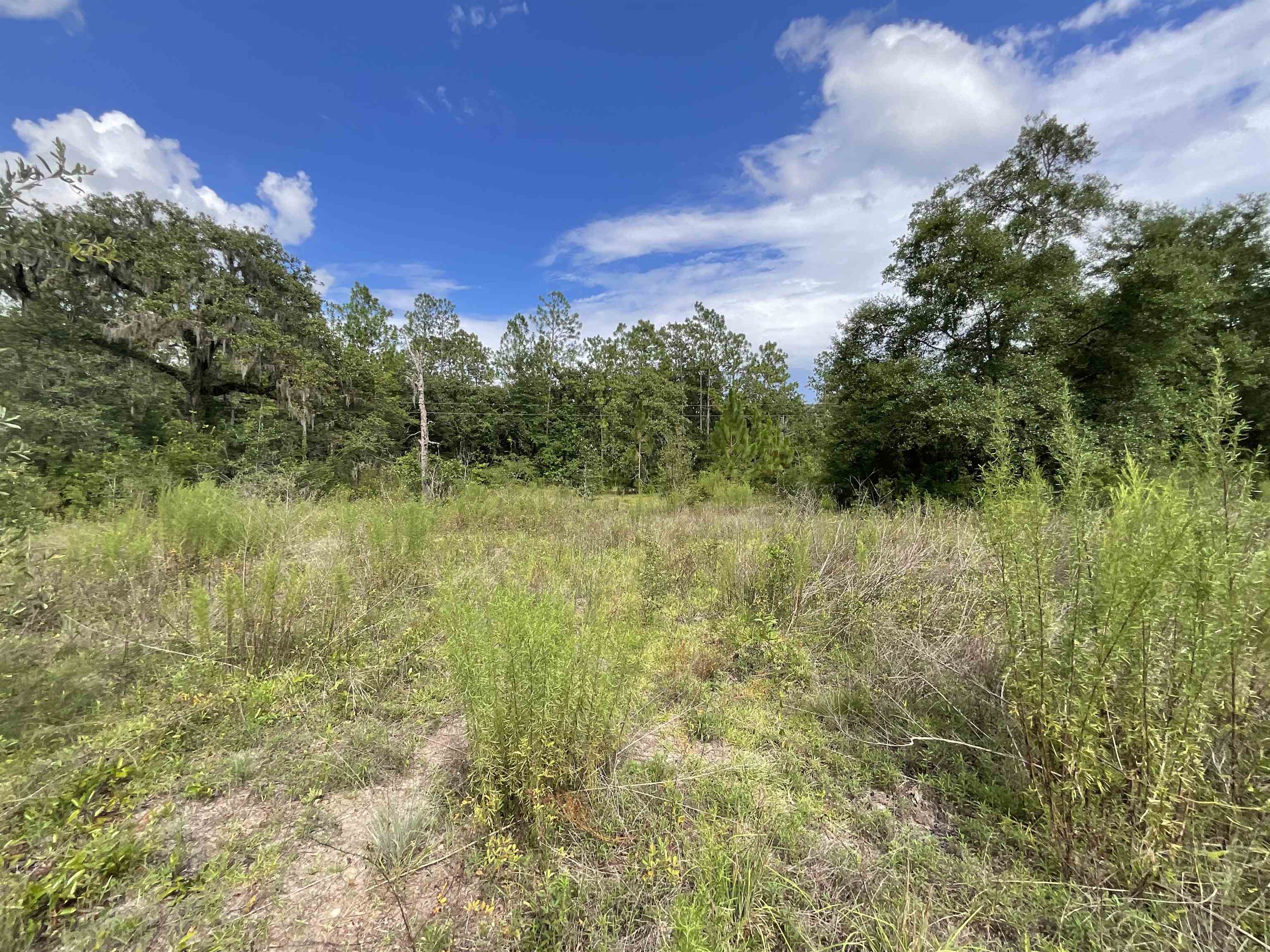 *Lot 57* Vacant NE Blackjack Loop #1, LEE, Florida image 10