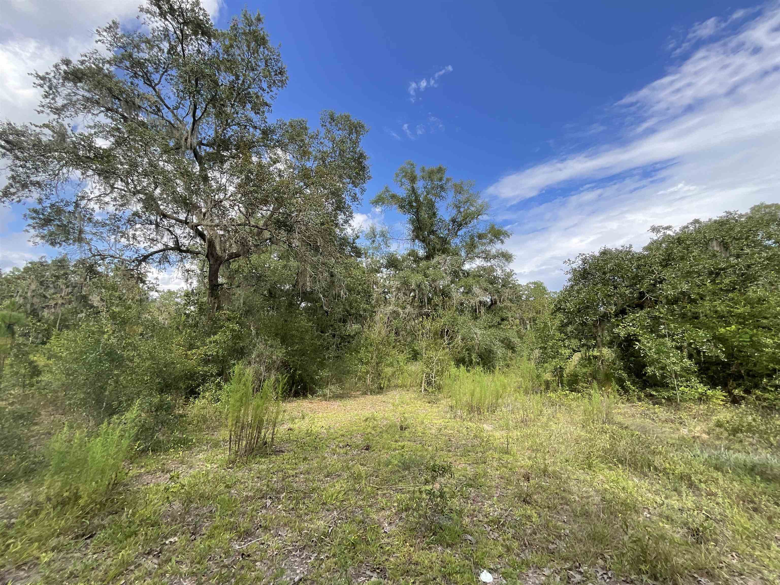 *Lot 57* Vacant NE Blackjack Loop #1, LEE, Florida image 12