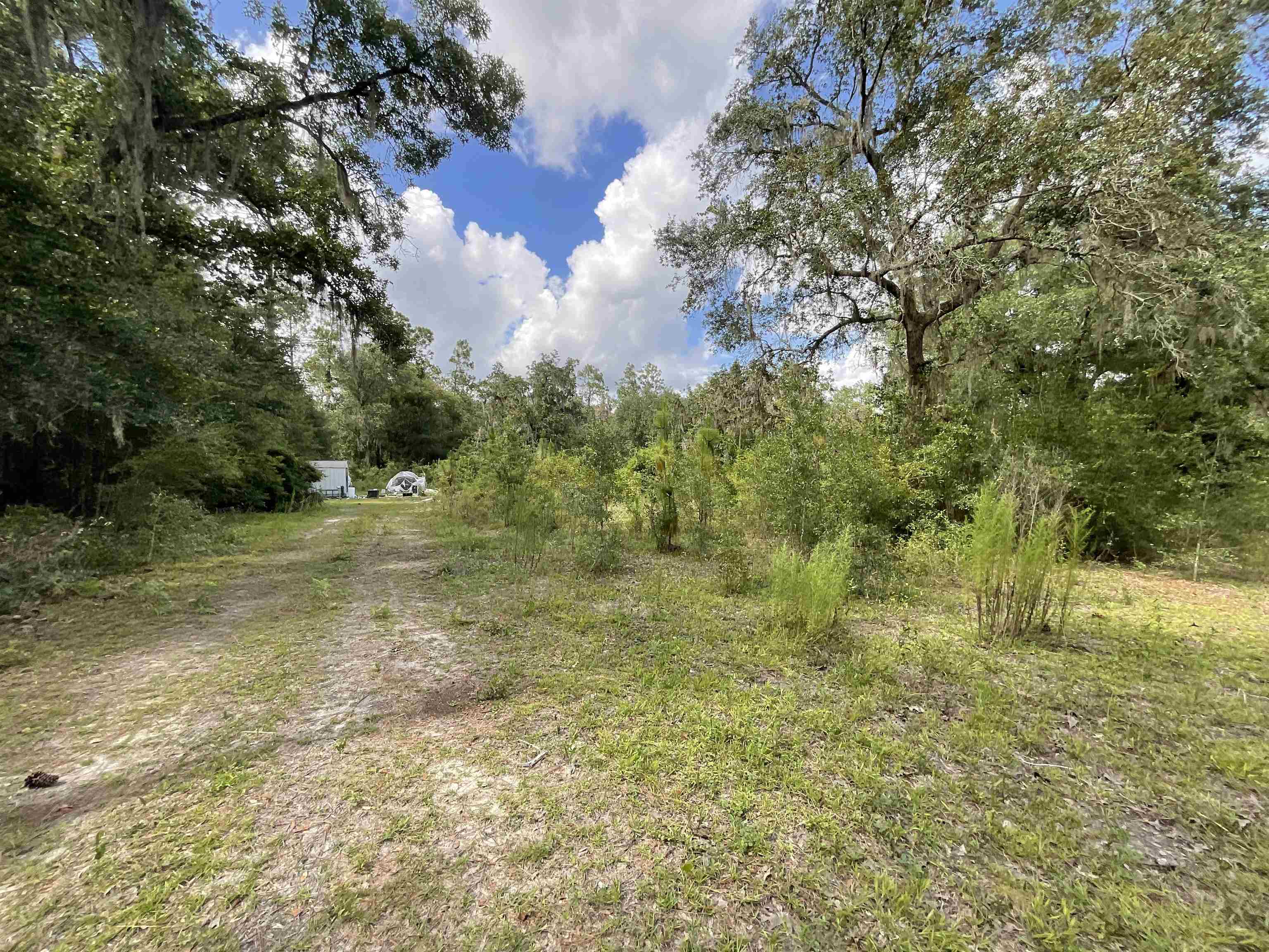 *Lot 57* Vacant NE Blackjack Loop #1, LEE, Florida image 14