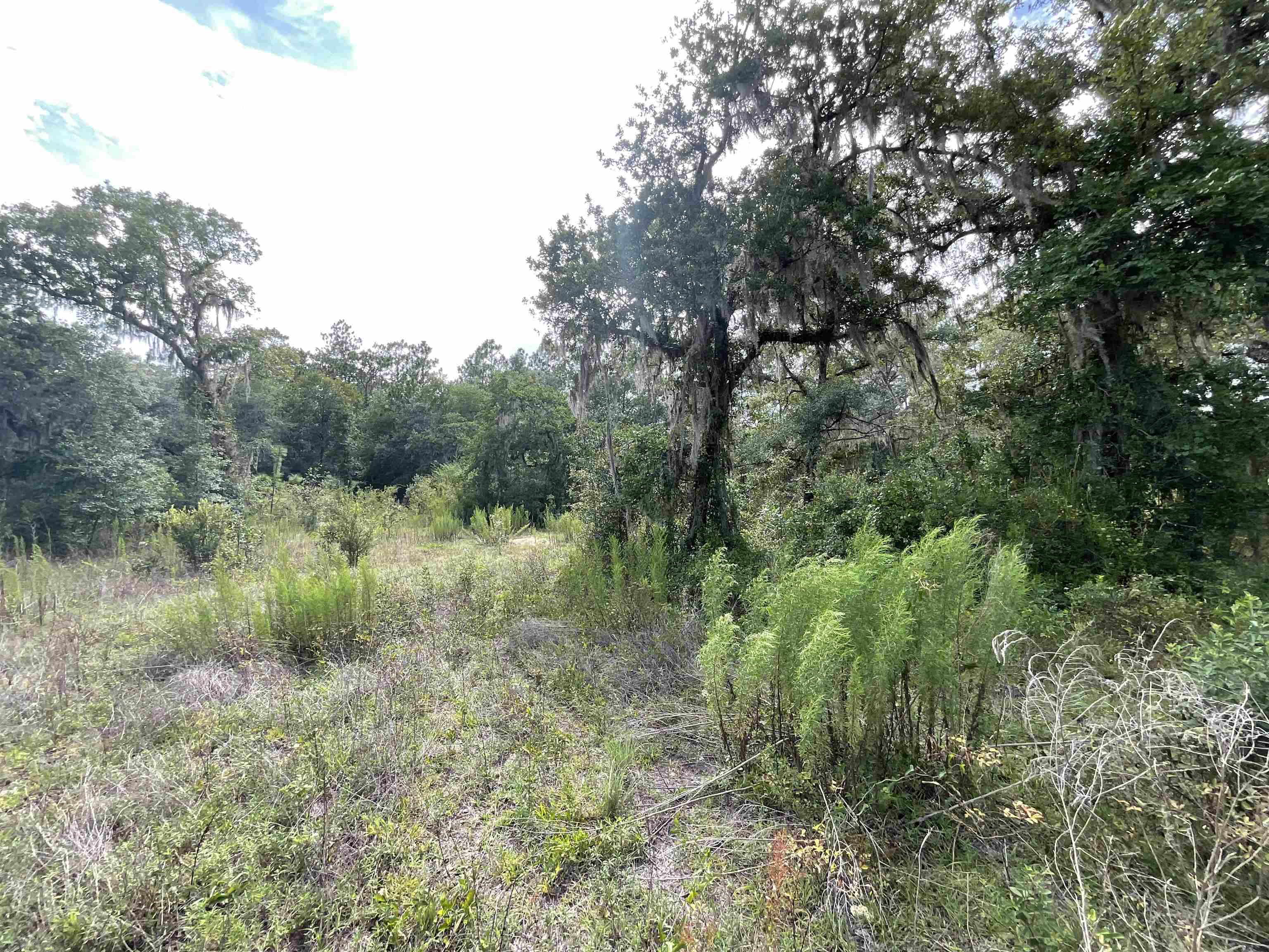 *Lot 57* Vacant NE Blackjack Loop #1, LEE, Florida image 18