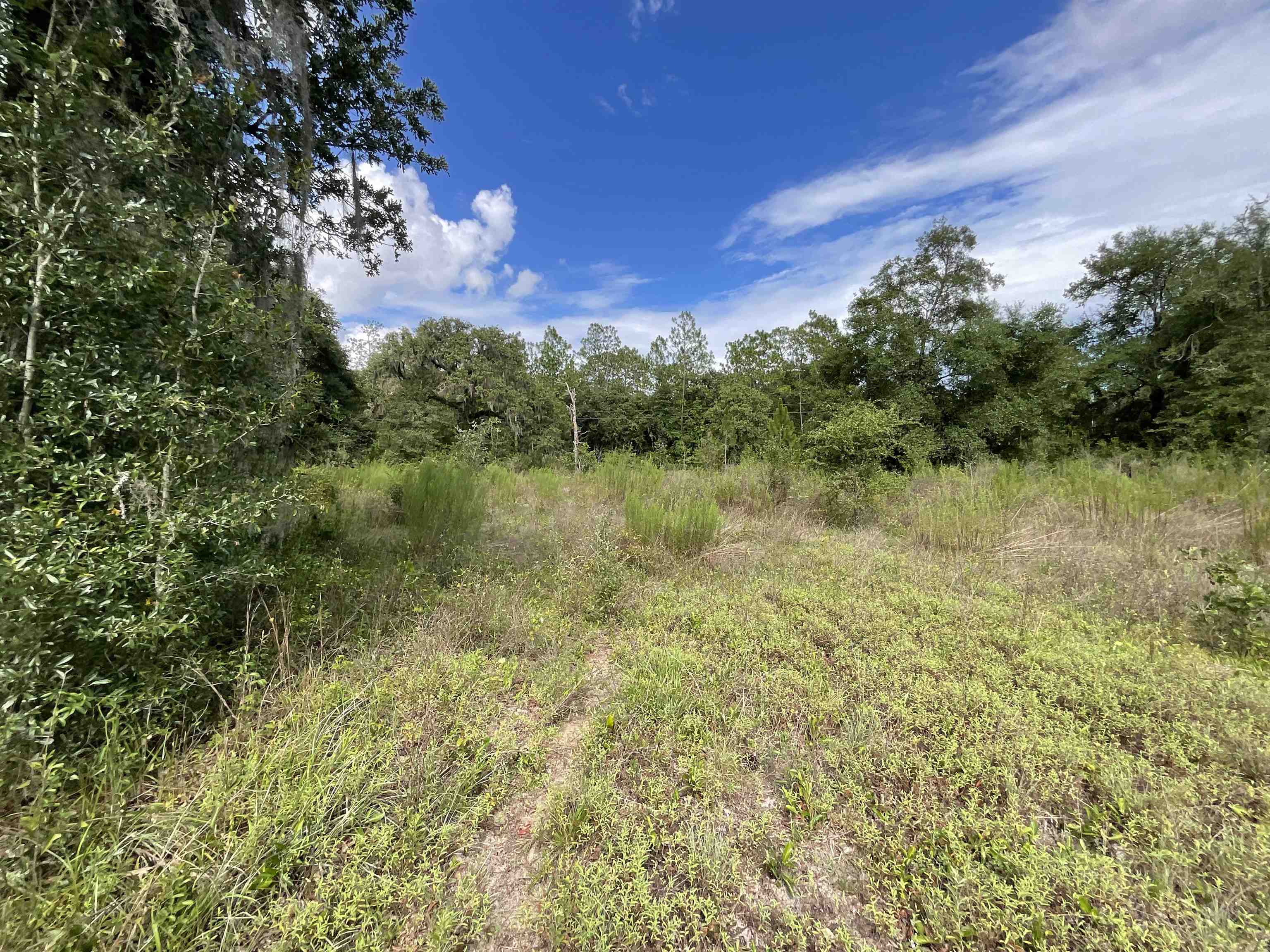 *Lot 57* Vacant NE Blackjack Loop #1, LEE, Florida image 6