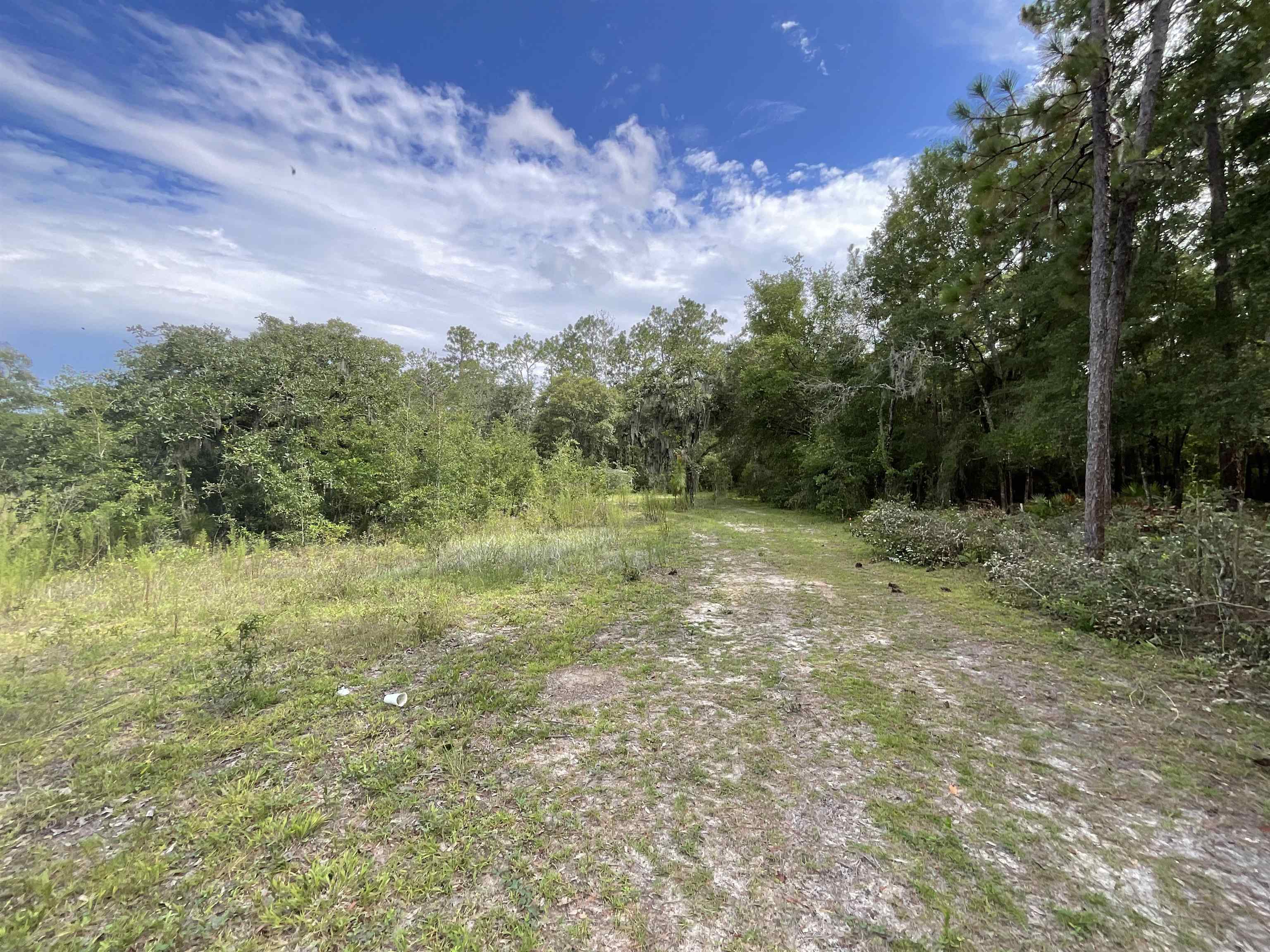 *Lot 57* Vacant NE Blackjack Loop #1, LEE, Florida image 8