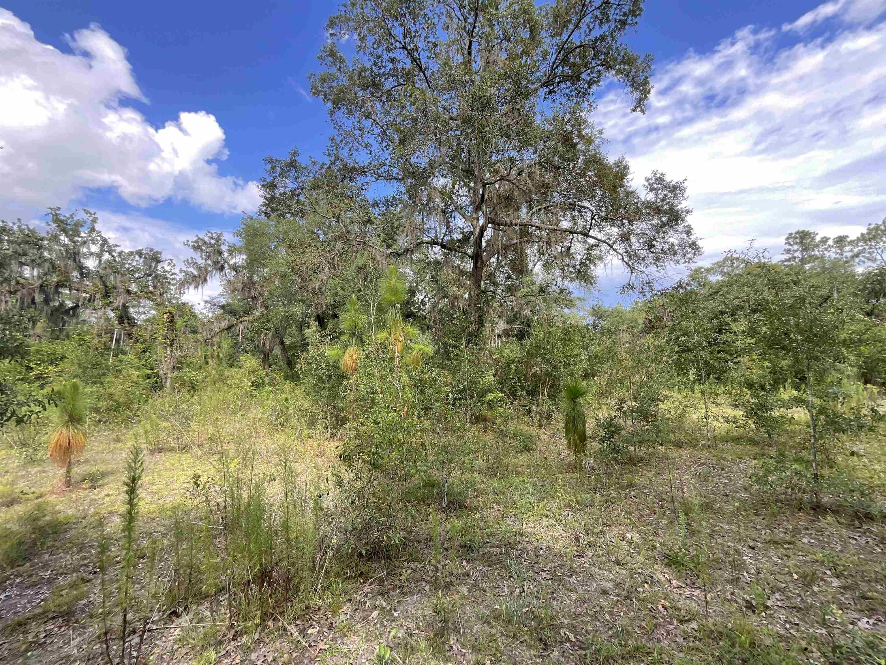 *Lot 57* Vacant NE Blackjack Loop #1, LEE, Florida image 9