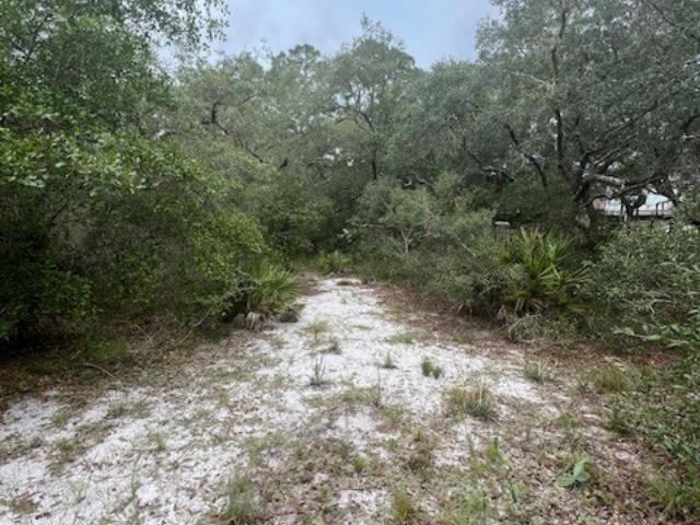 Levy Bay Road, PANACEA, Florida image 3