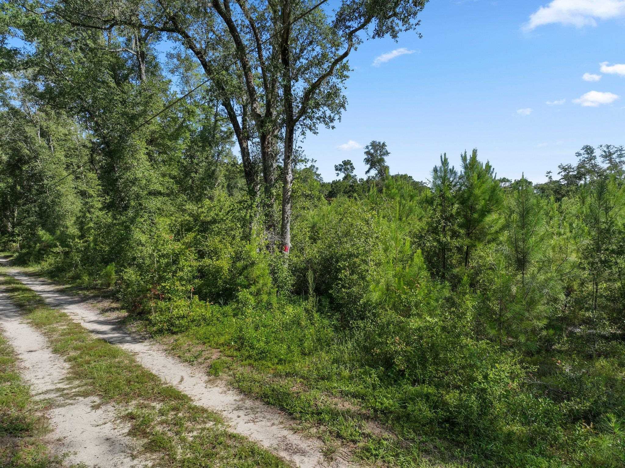 4778 Emanuel Lane, Tallahassee, Florida image 7